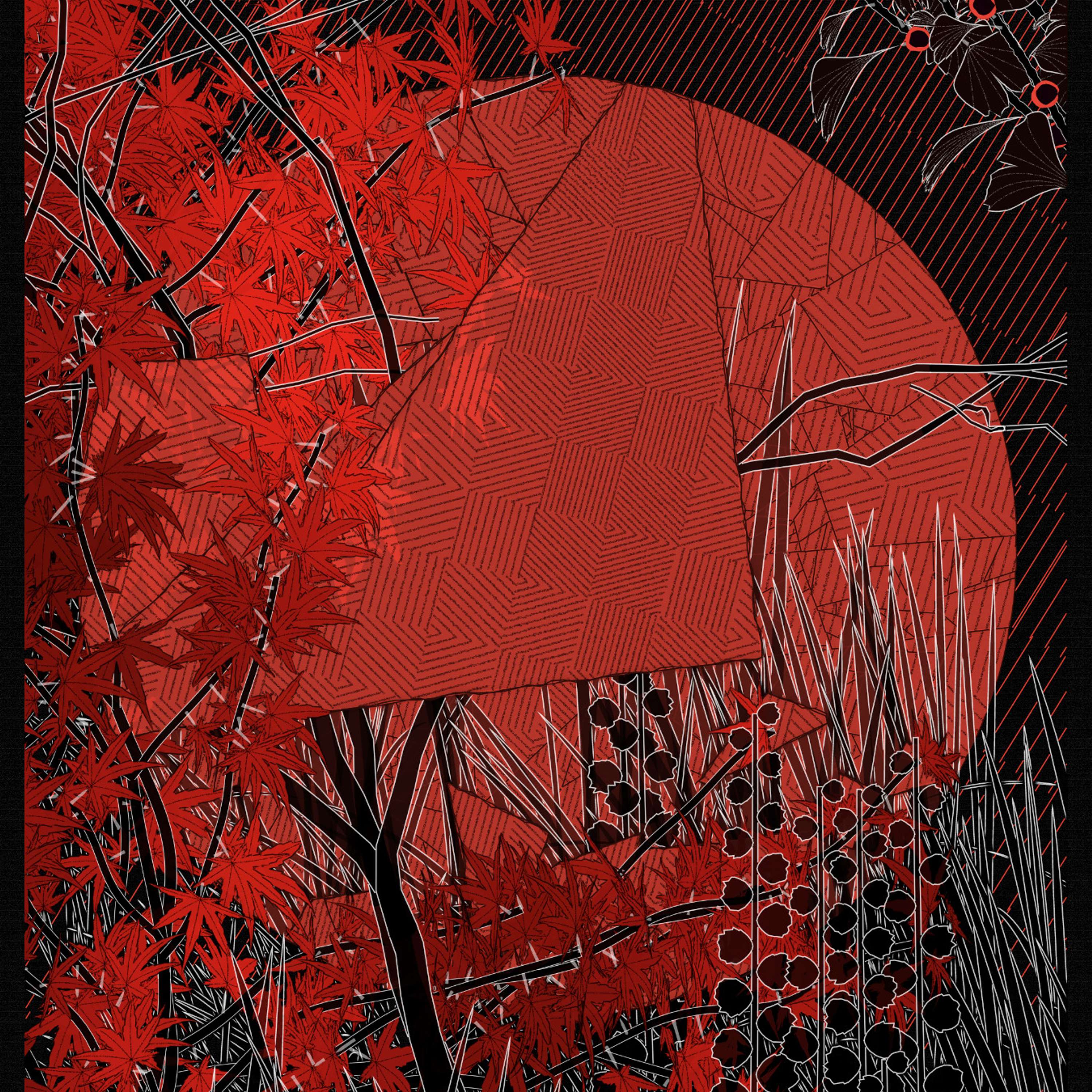Collector\'s Corner
