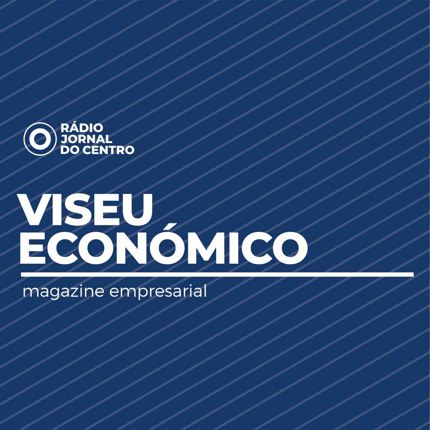 Viseu Económico