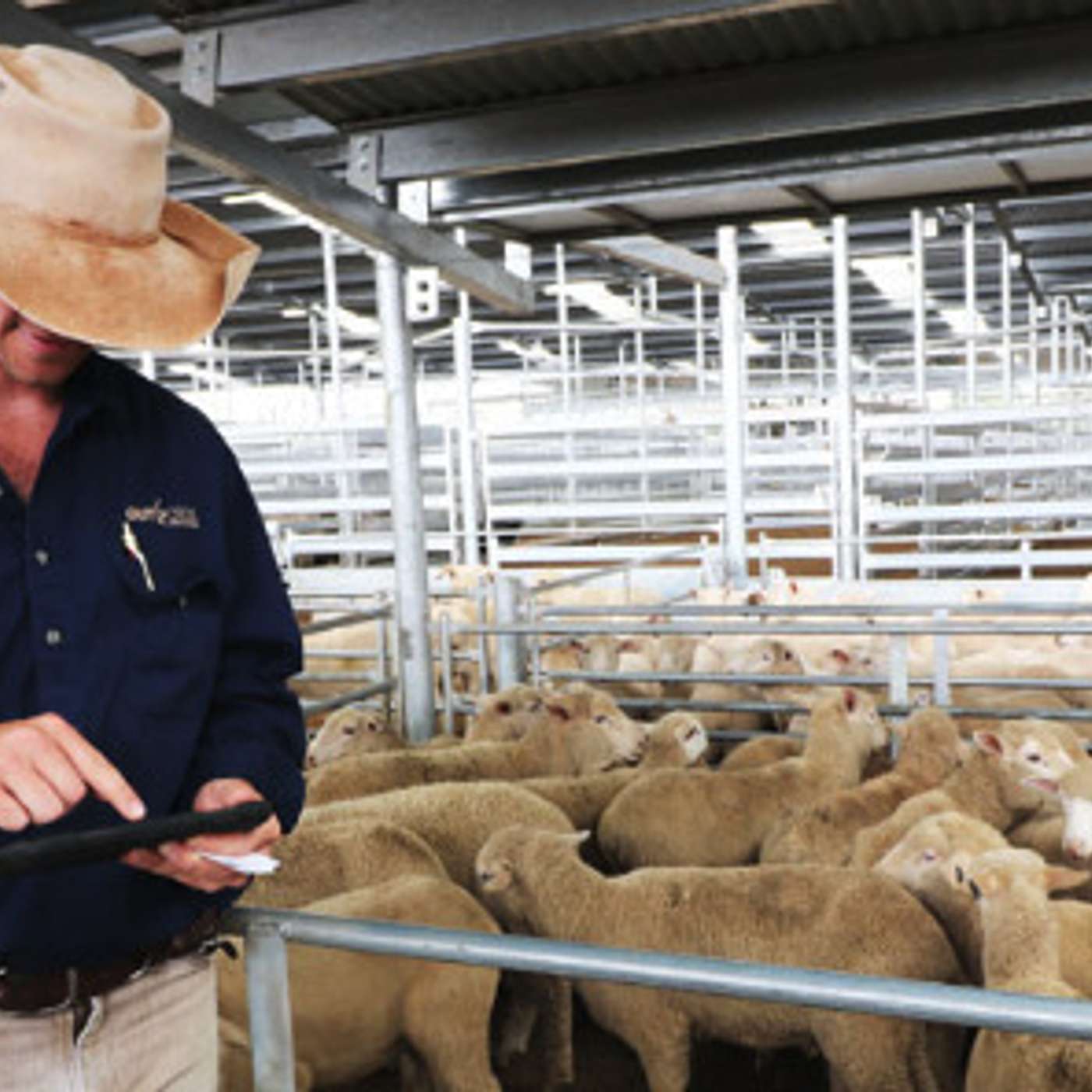 Job Opportunities at Outcross Agri-services with Tom Newsome