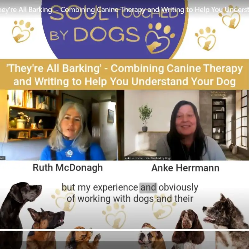 Ruth McDonagh (Dr. Daniel Springer-Spaniel) 'They're All Barking' - Combining Canine Therapy and Writing to Help You Understand Your Dog