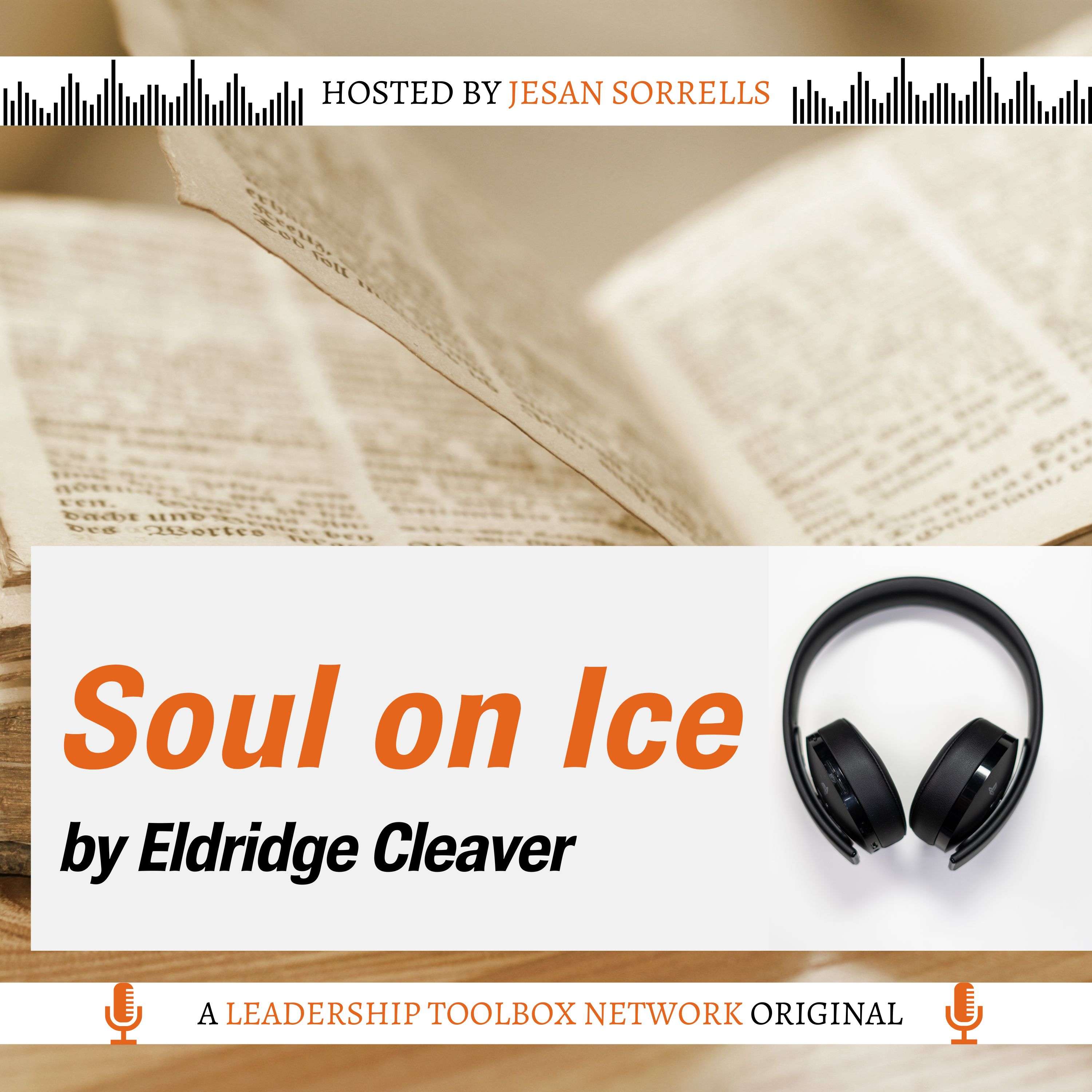 Soul on Ice by Eldridge Cleaver w/Dorollo Nixon - podcast episode cover