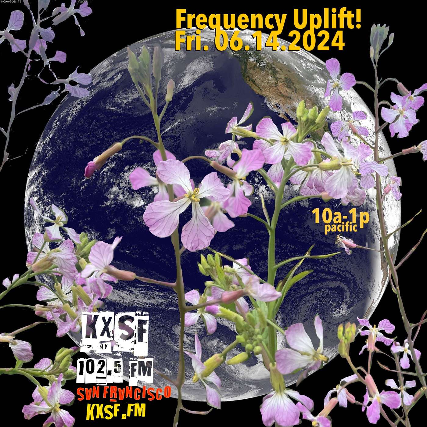 FREQUENCY UPLIFT! _ FRI. 06.14.2024 _ a garden for all … episode artwork