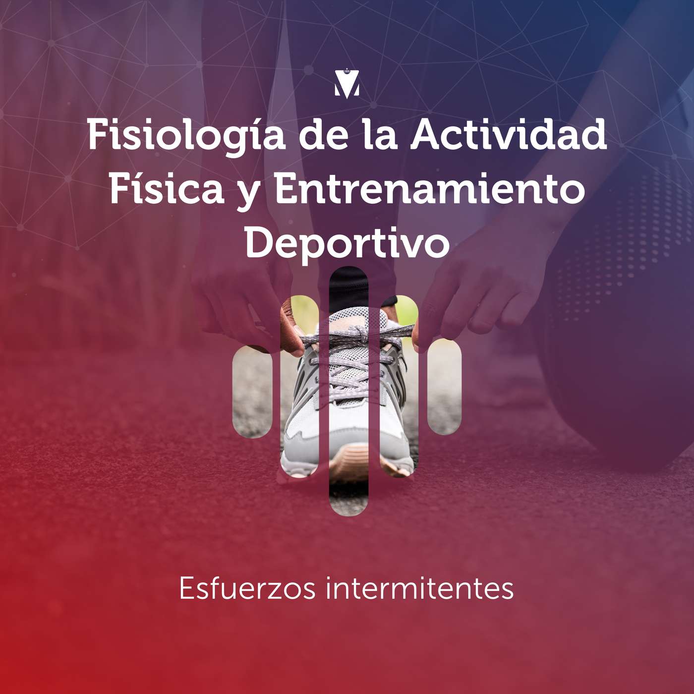 3 - FISIOLOGÍA DE LA ACTIVIDAD FÍSICA Y ENTRENAMIENTO DEPORTIVO: Esfuerzos intermitentes