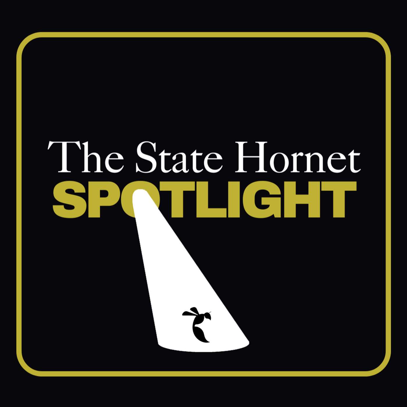 State Hornet Spotlight