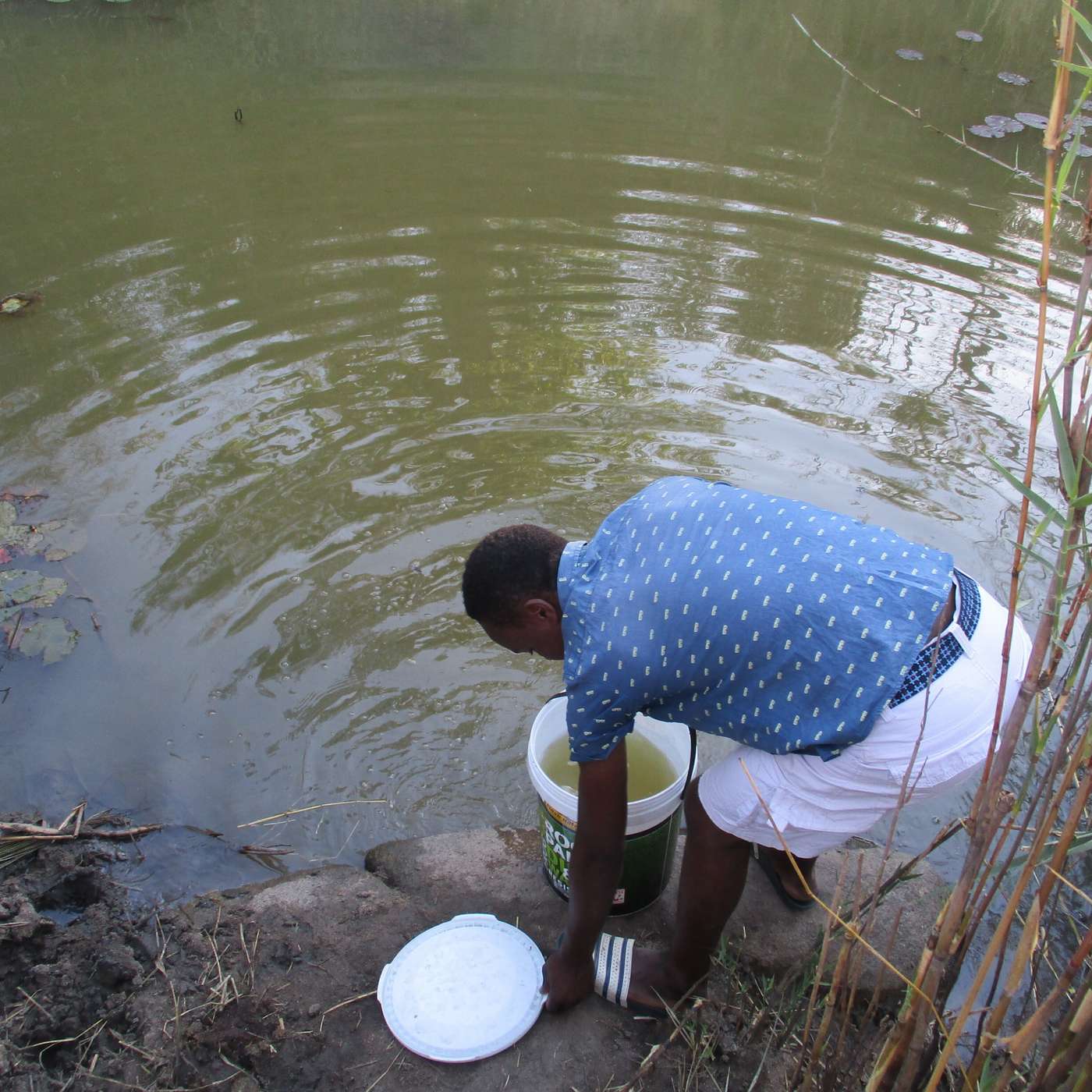Beyond COP26 and Participatory water governance in South Africa