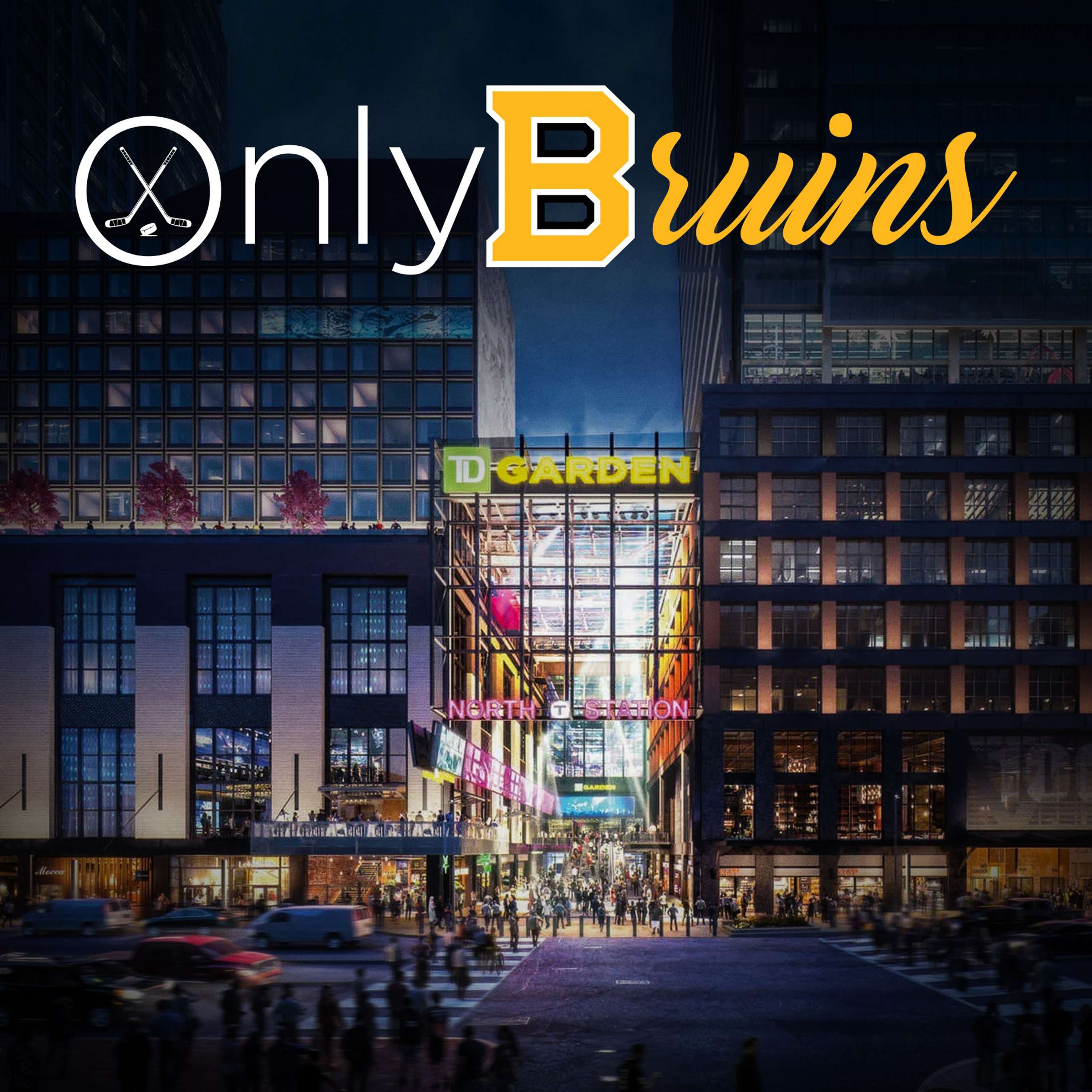 Only Bruins