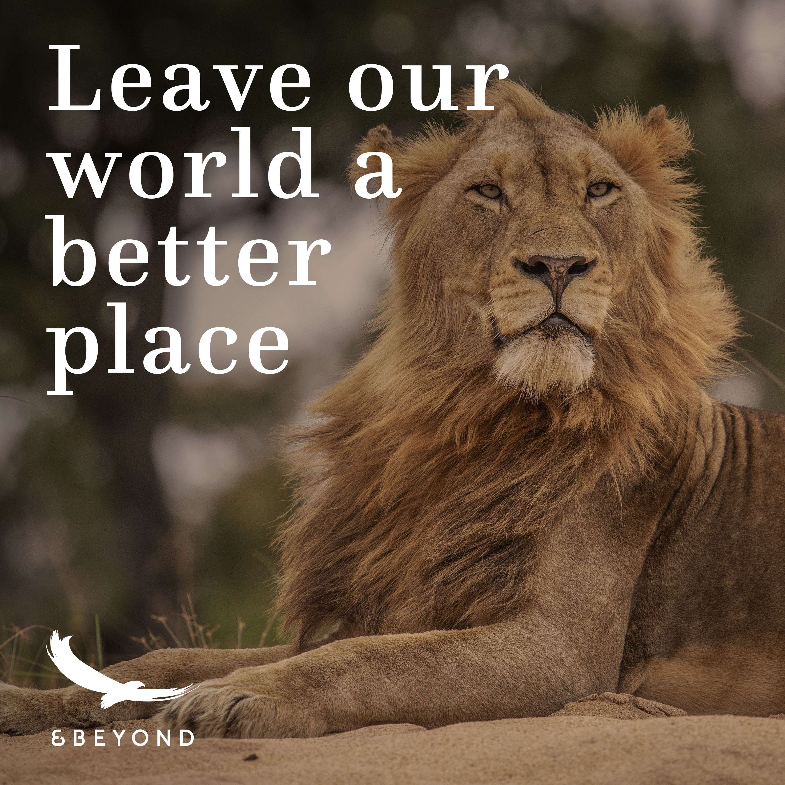 Better World