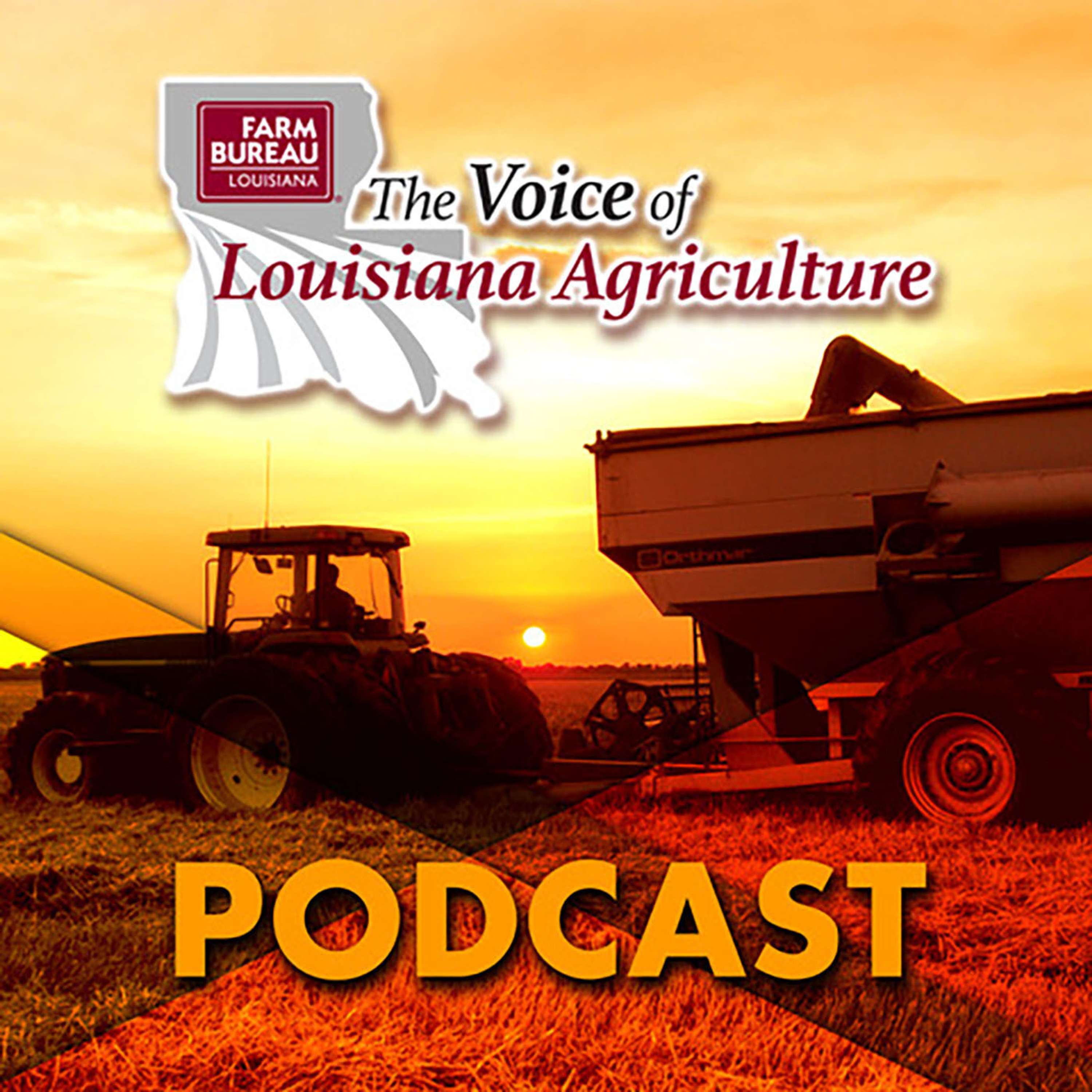 The Voice of Louisiana Agriculture Podcast #16 - August 24, 2018