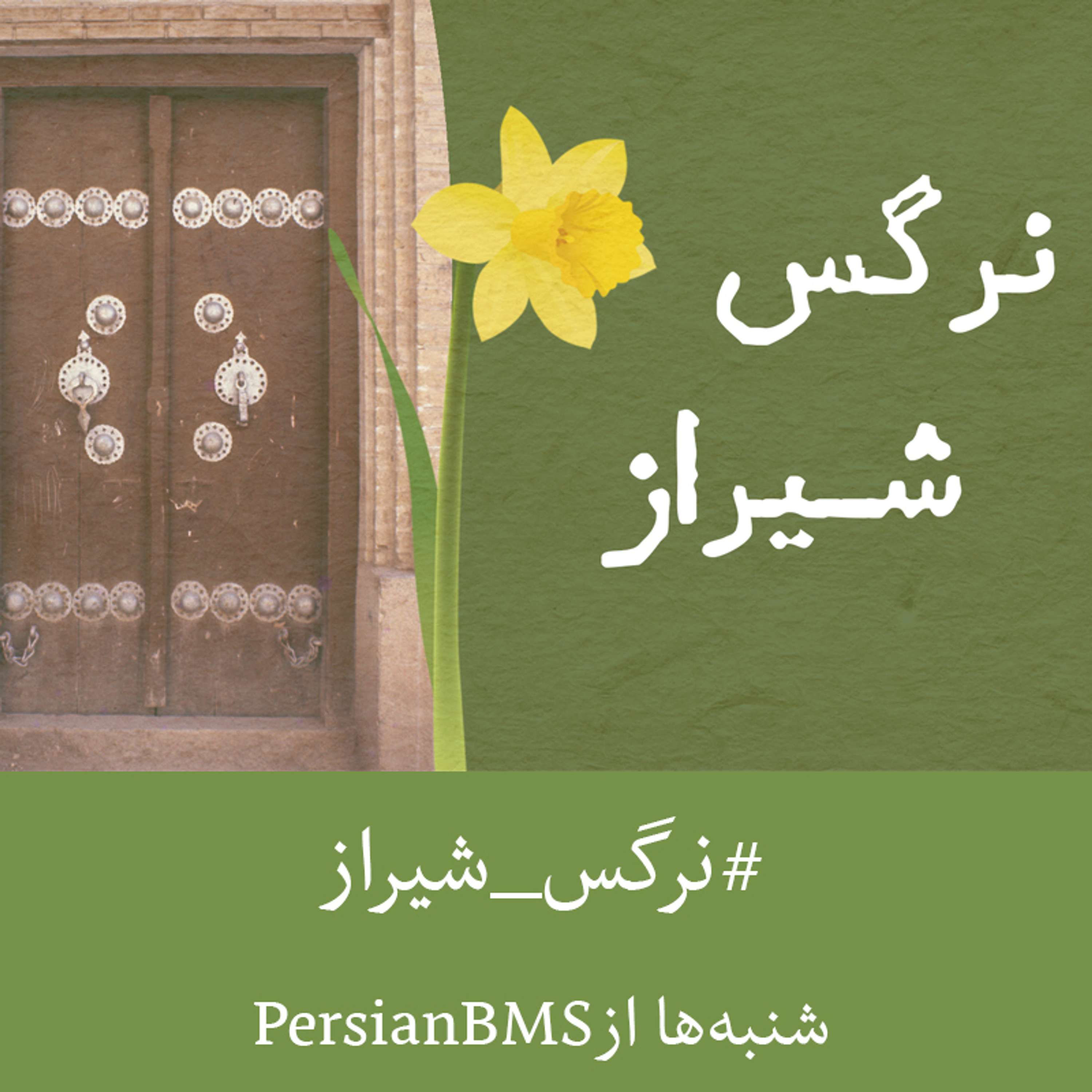 Nargese Shiraz | نرگس شیراز