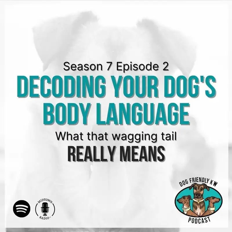 Decoding Body Language: What your dog's WAGGING TAIL really means!