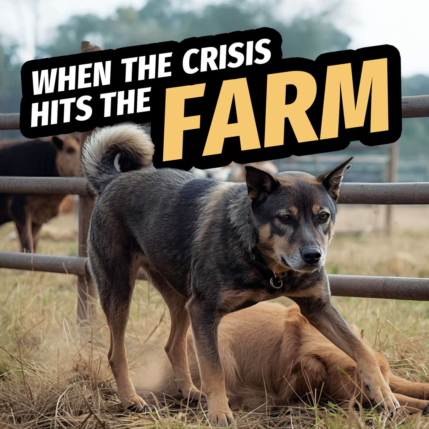 When the Crisis Hits the Farm When the Crisis Hits the Farm
