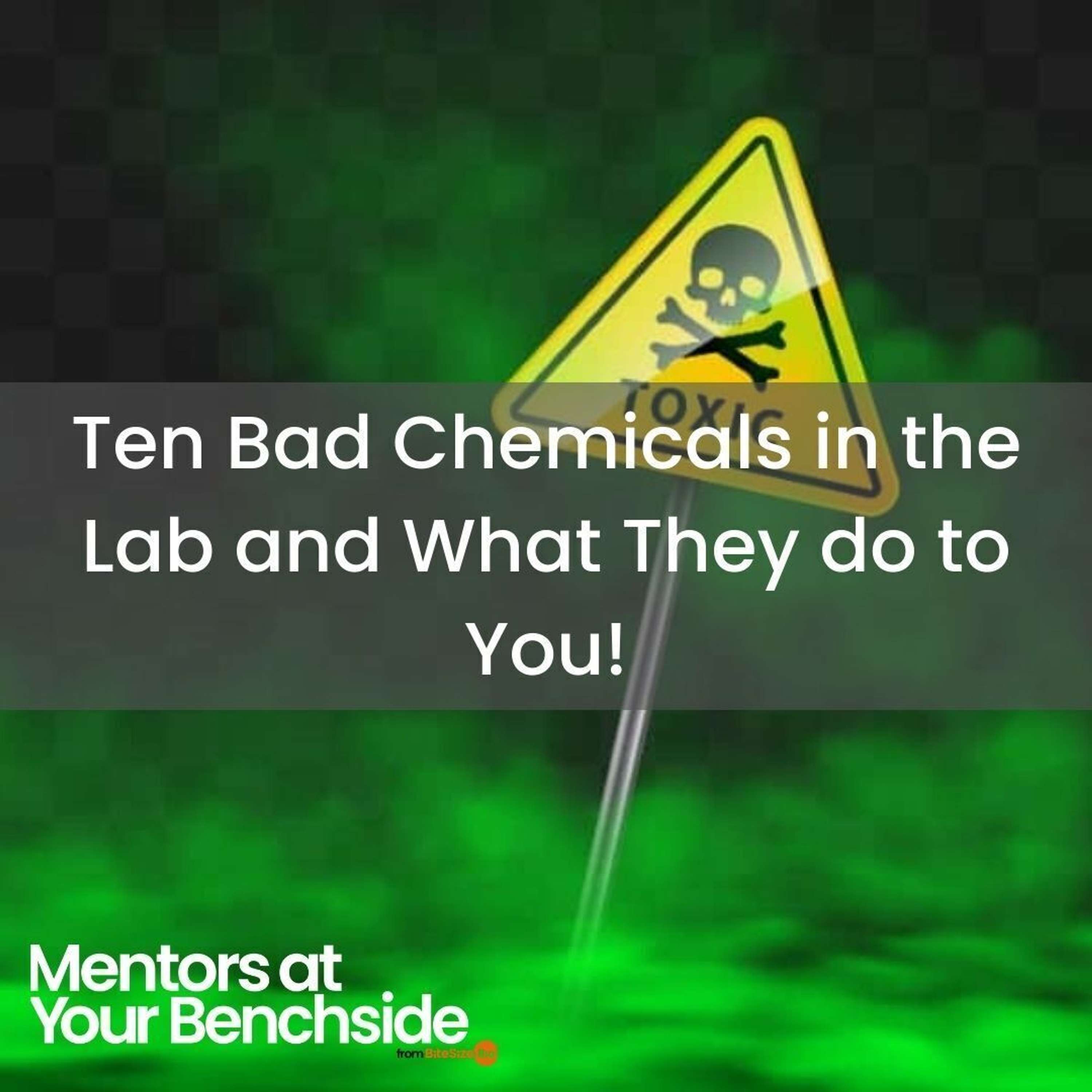 Mentors at Your Benchside