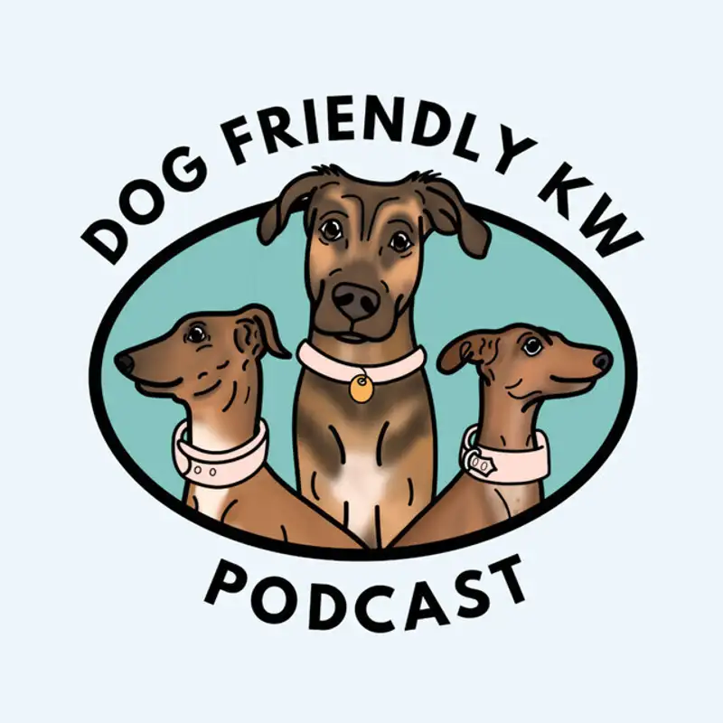 Dog Friendly KW Podcast: Volunteering & Working with Dog Friendly KW w/ Rachel Radyck