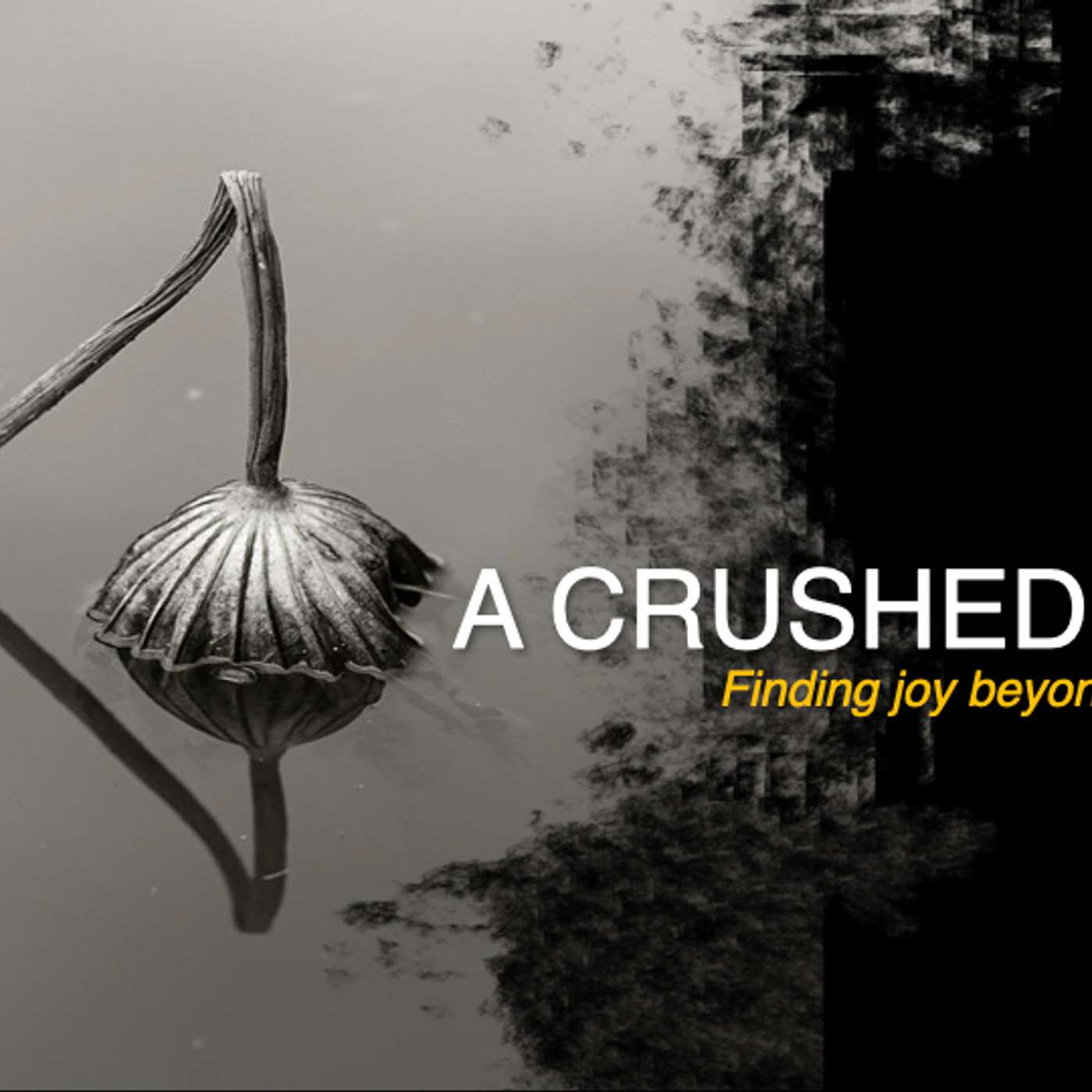 A Crushed Spirit || Mark Evans