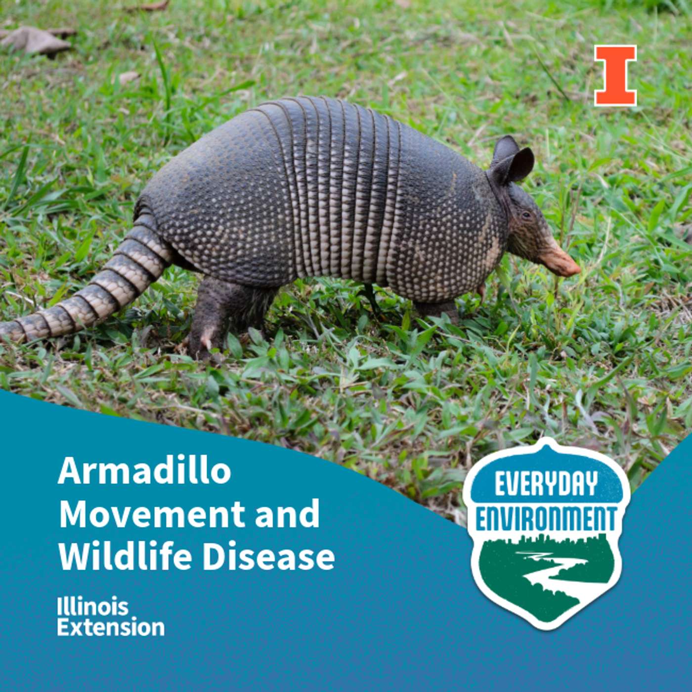 Movement of Armadillos in Illinois with Agustin Jimenez