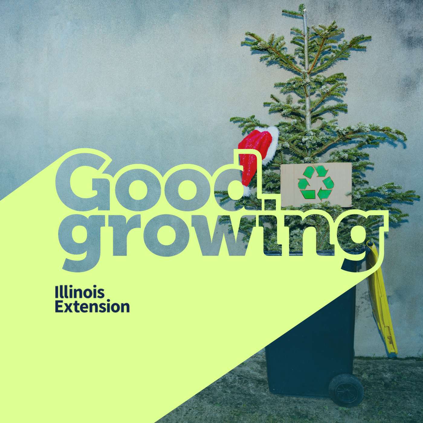 Gardenbite: A second life to your cut Christmas tree | #GoodGrowing