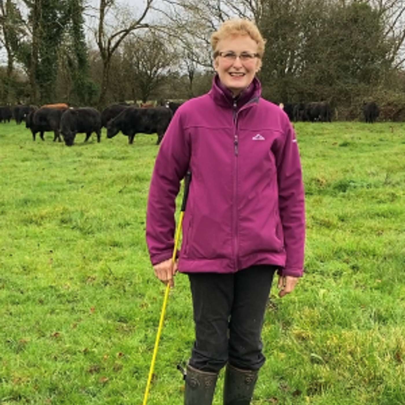 Future Beef Farmer, Kay O’Sullivan’s conversion to organic