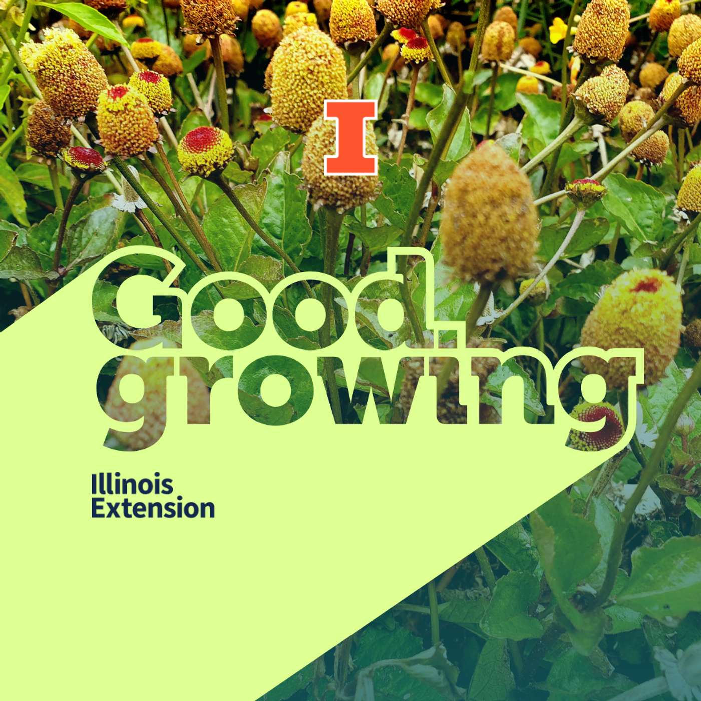 Good Growing