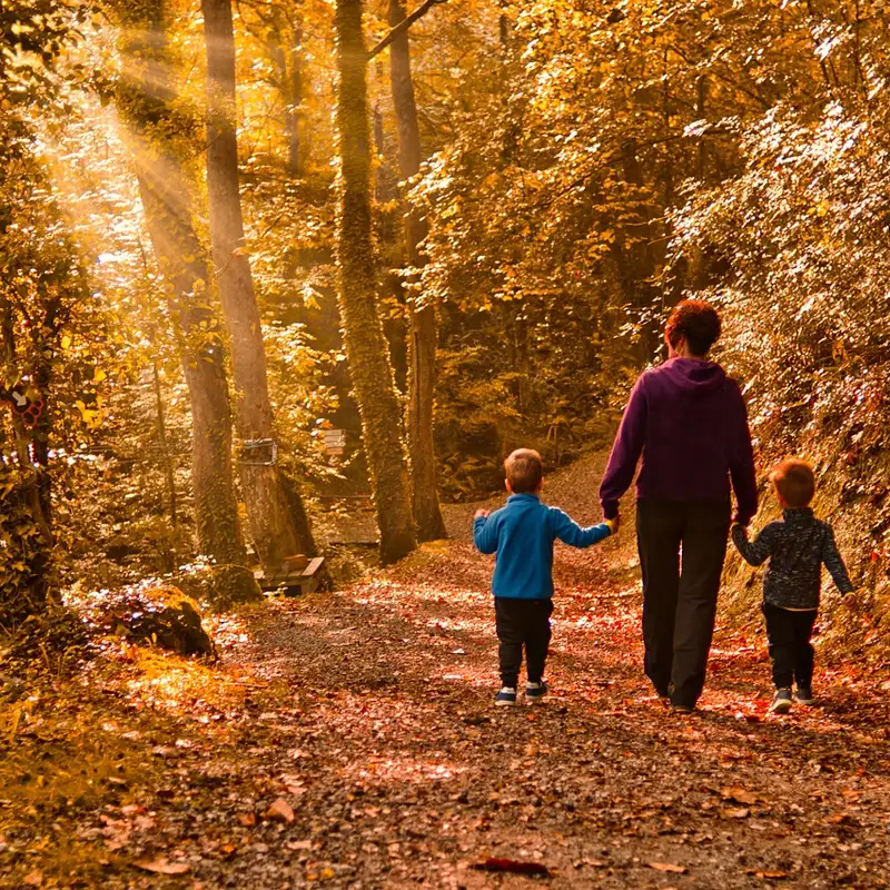 SANTÉ - Les bienfaits du temps passé en pleine nature