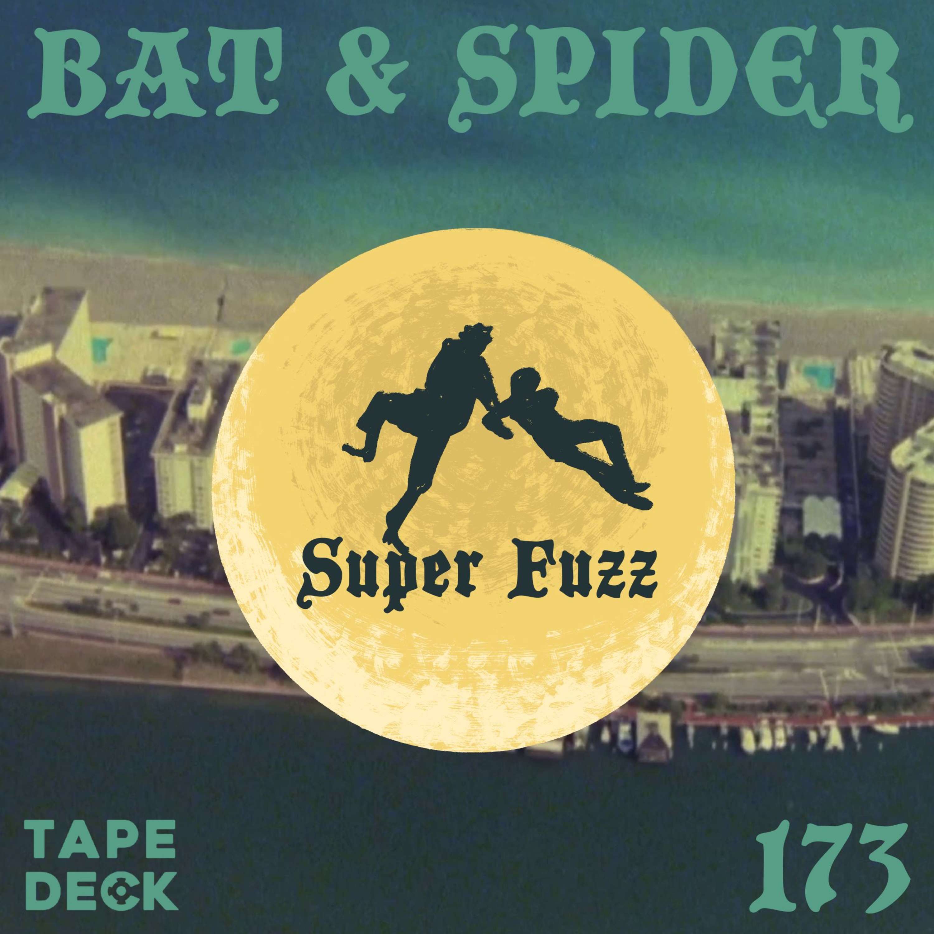 BAT AND SPIDER
