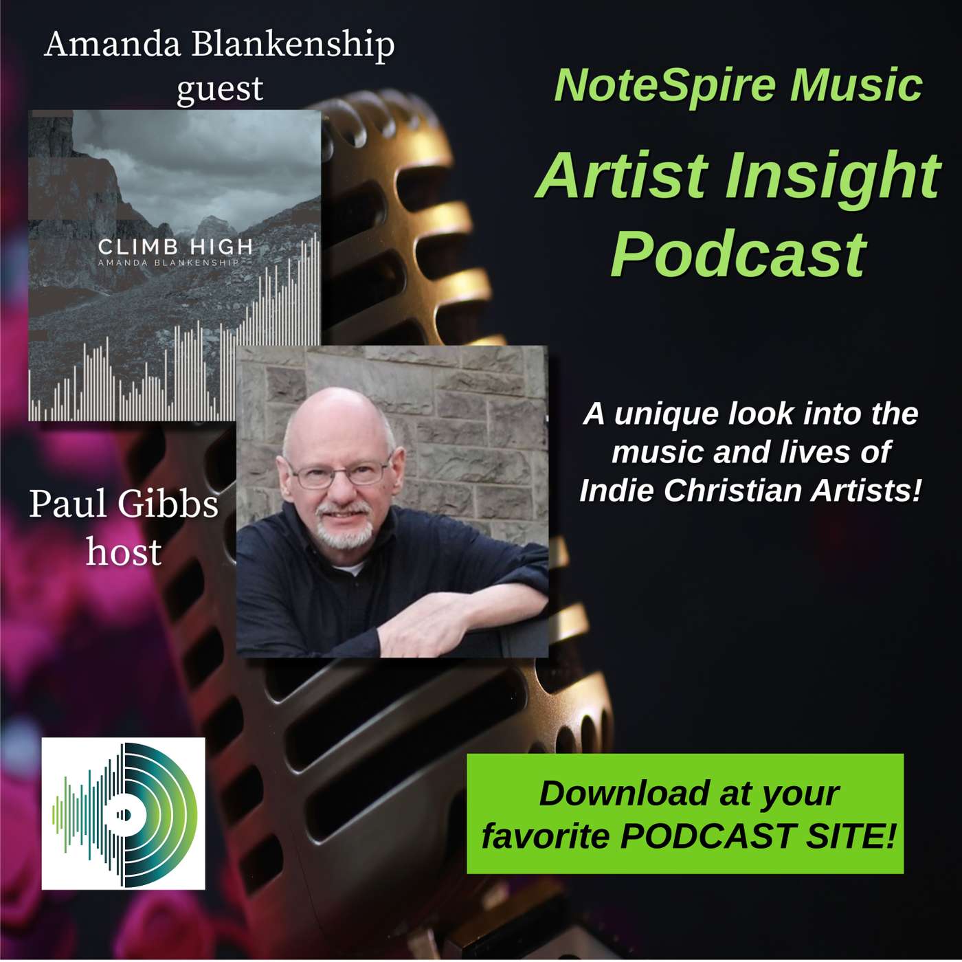 The Artist Insight with guest Amanda Blankenship