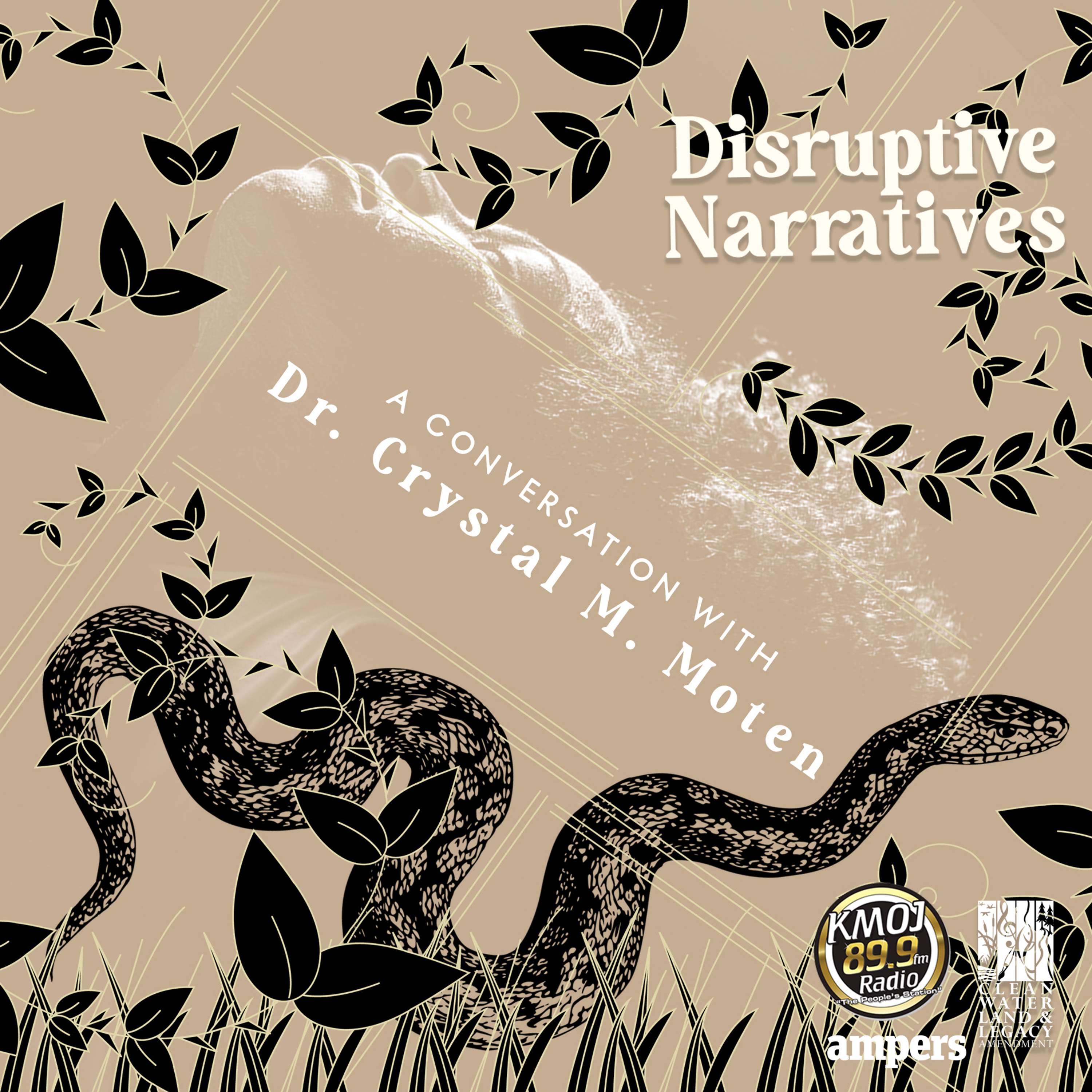 Disruptive Narratives