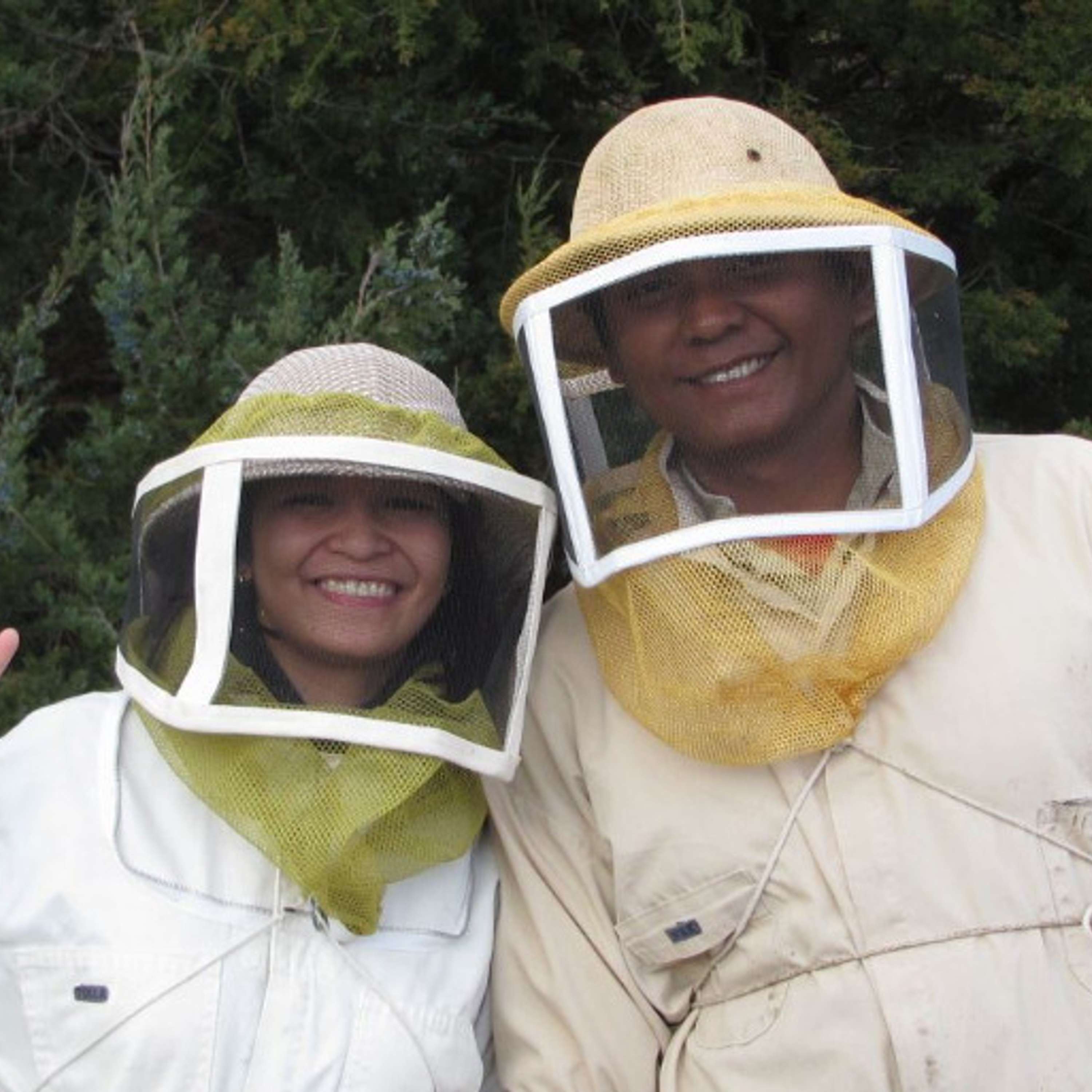 Breeding the Honeybee