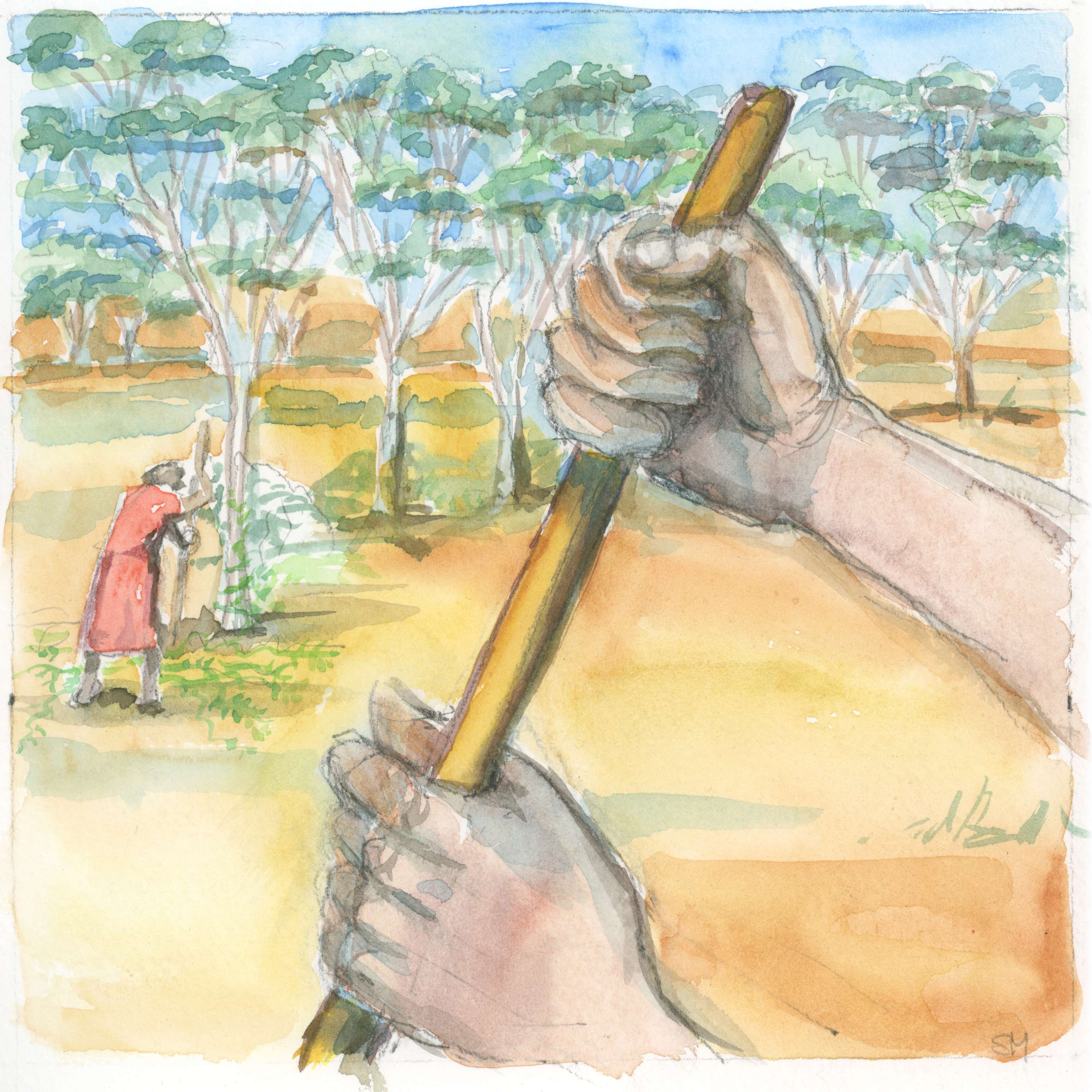 12. Moora Aboriginal Reserve