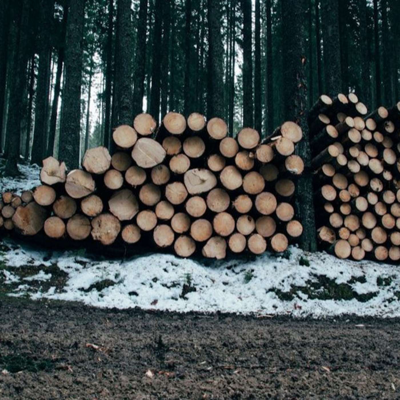 Machine Learning Tech Brief By HackerNoon