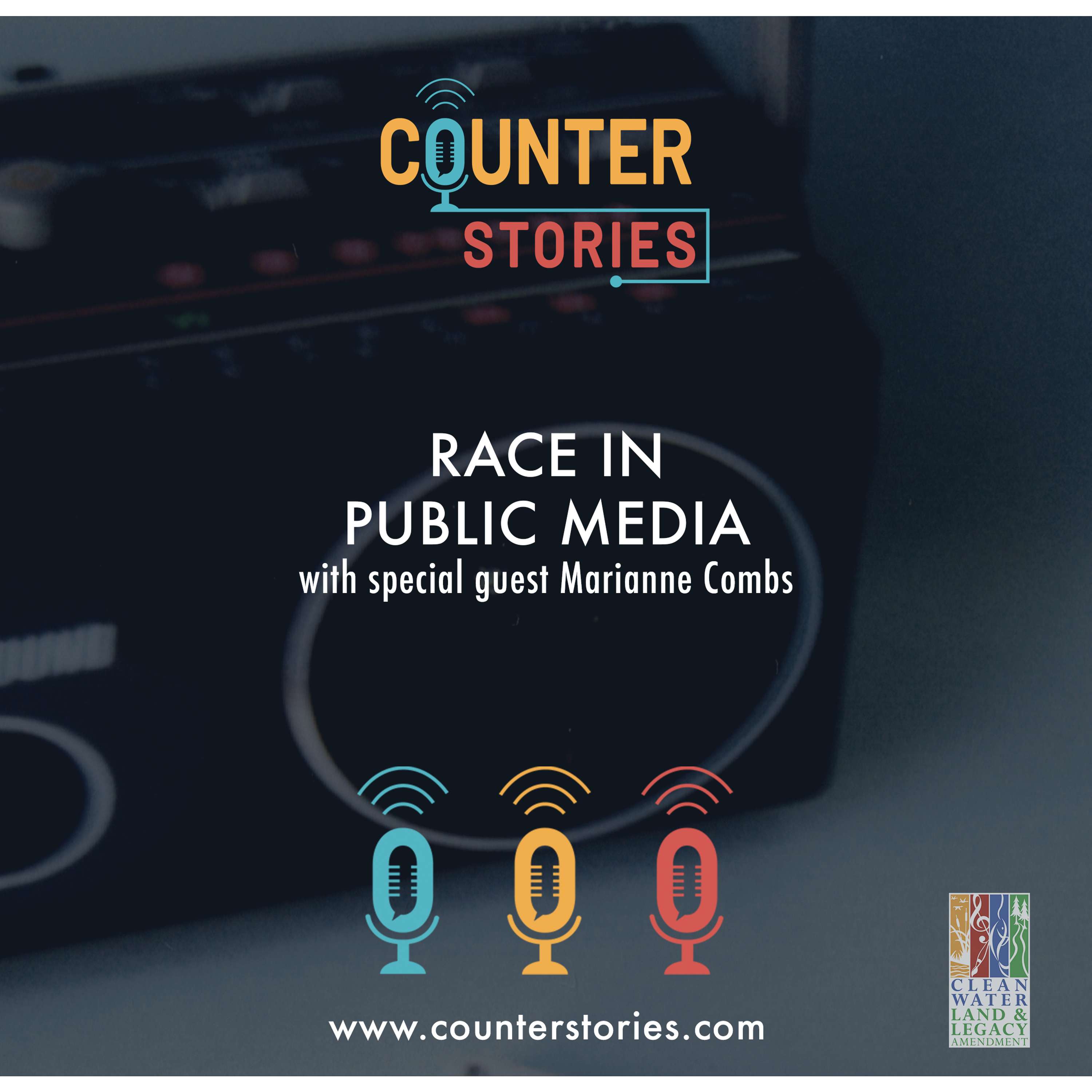 Race in Public Media