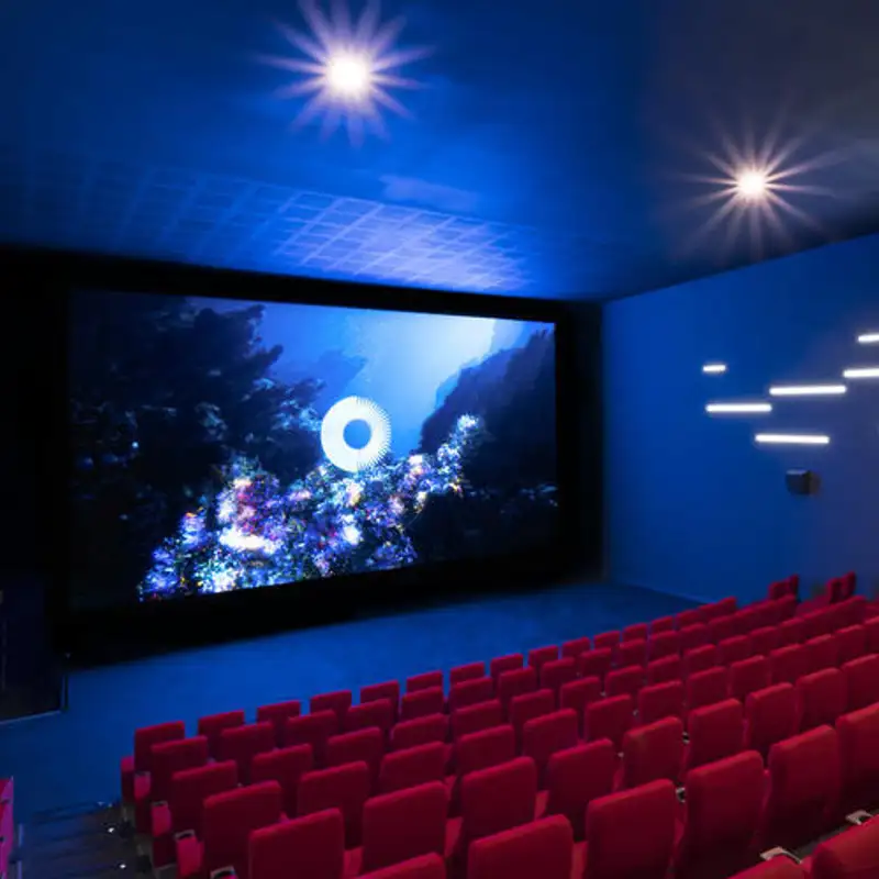 CINÉMA - Le retour de vos sélections spécial été