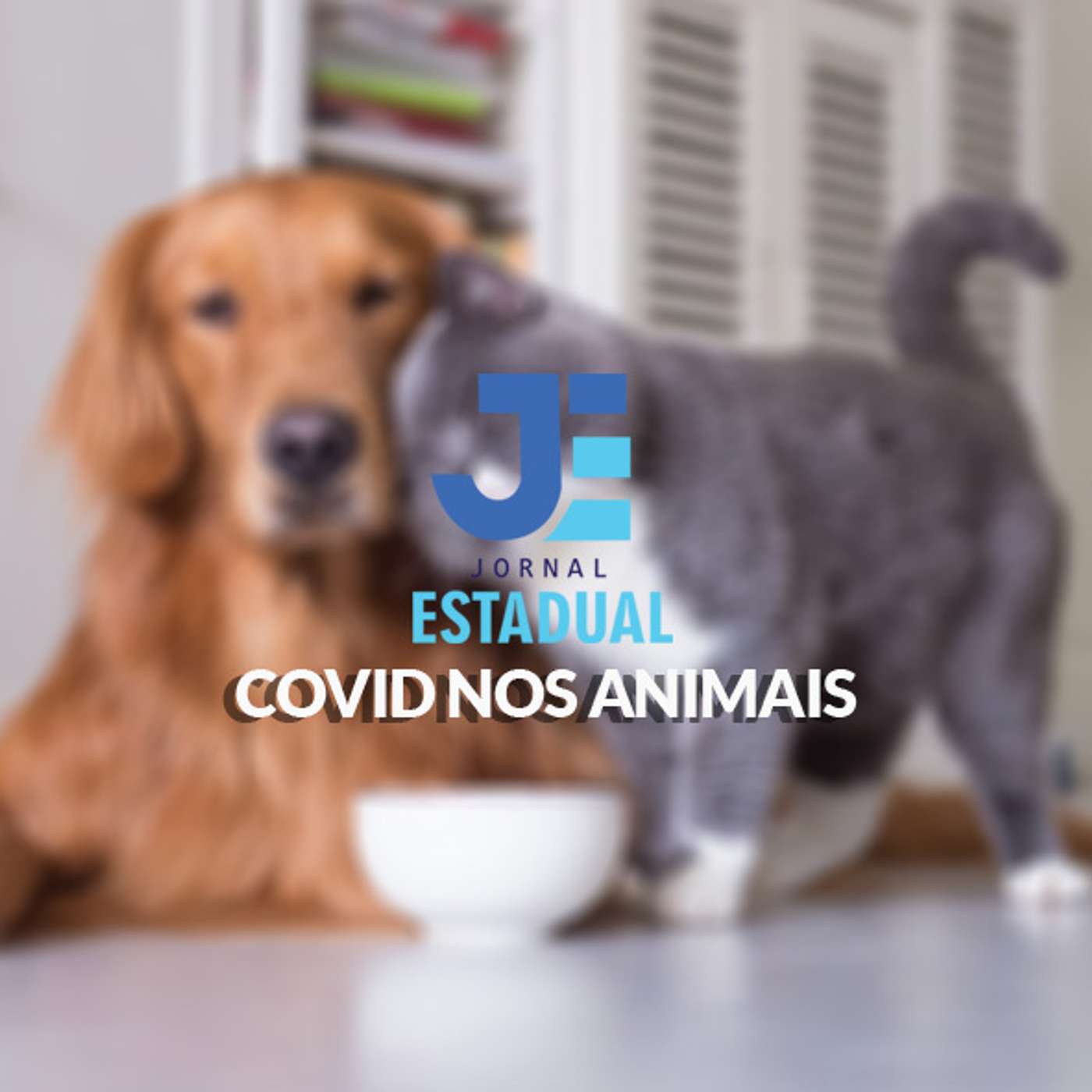 Matéria - Covid nos animais episode artwork