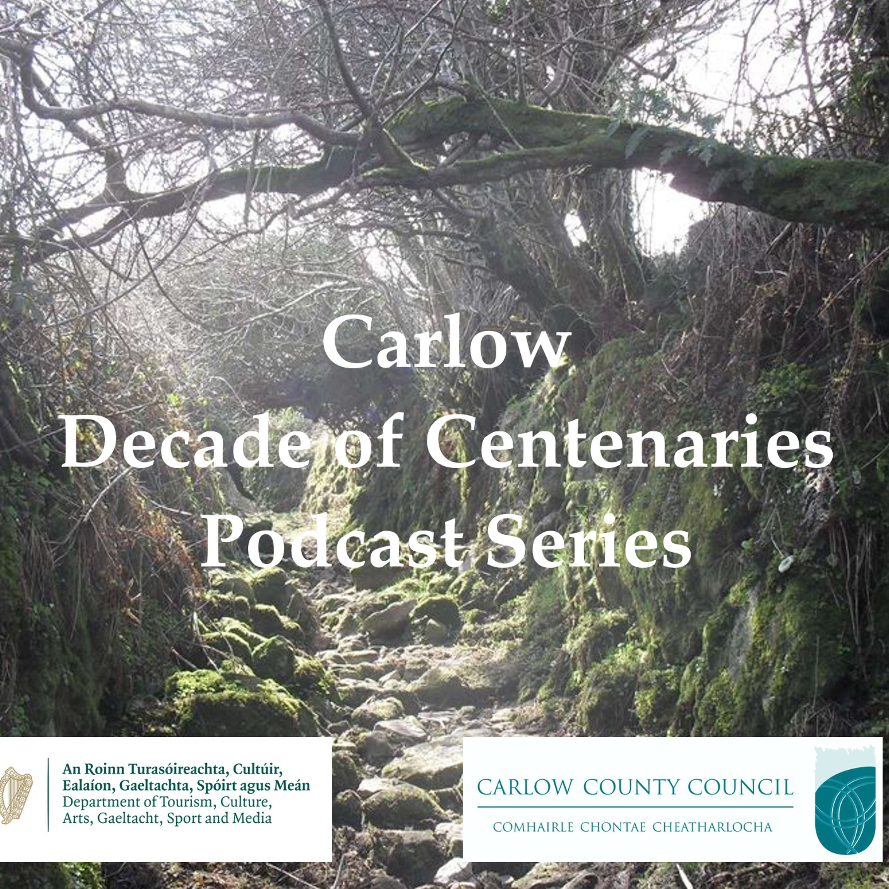 The Revolution Will Be Podcast! - a discussion with Irish History Podcast’s Fin Dwyer