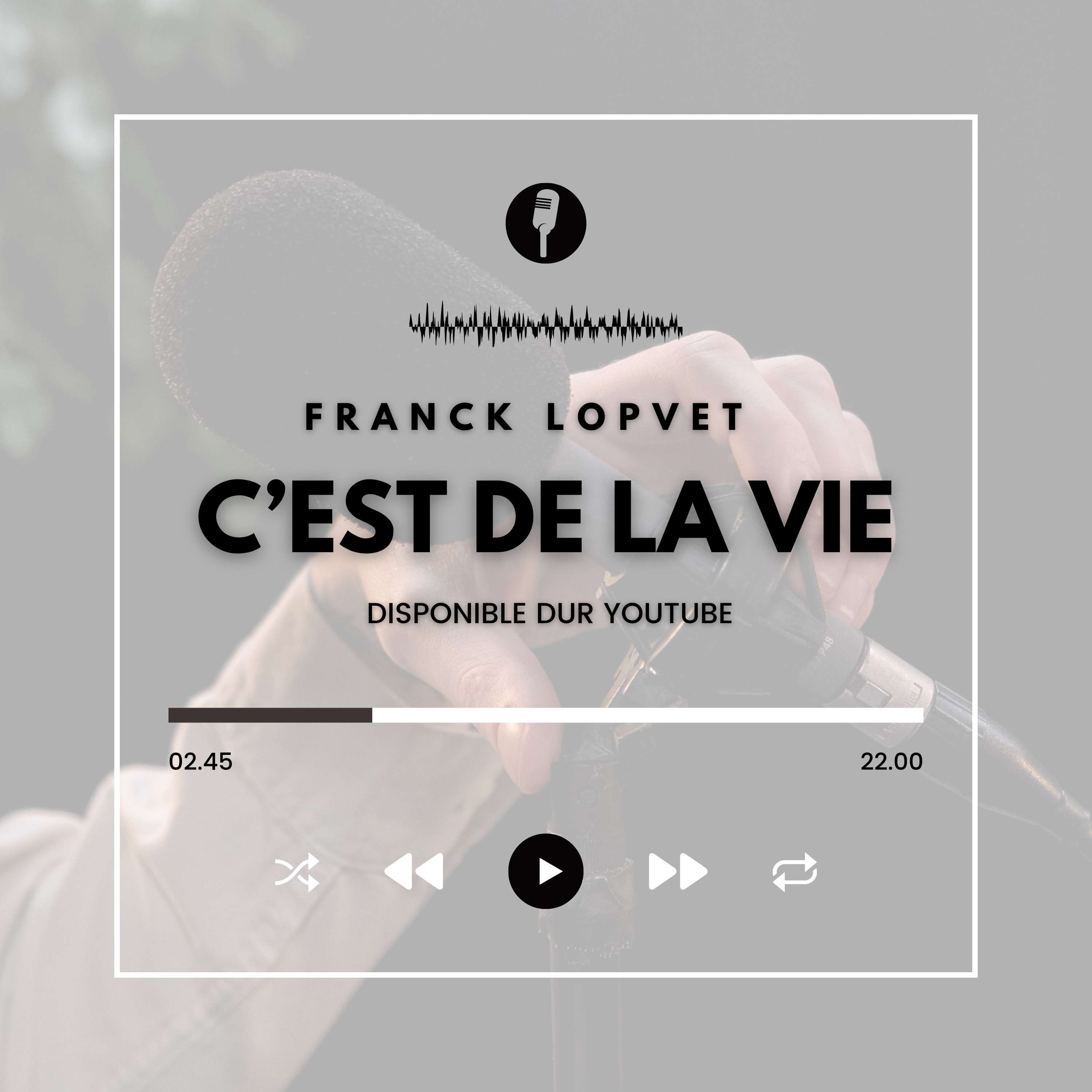 Franck Lopvet - Compilation