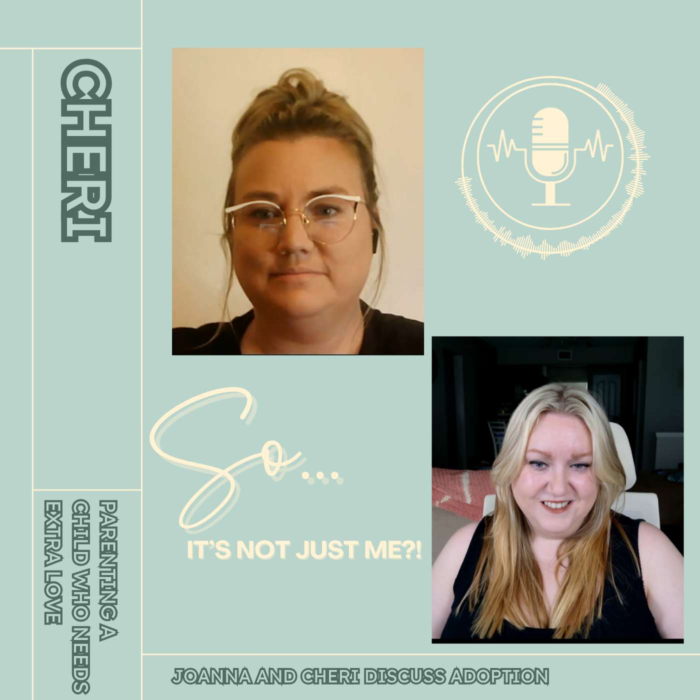 Parenting a Child Who Needs Extra Love: Joanna and Cheri discuss adoption