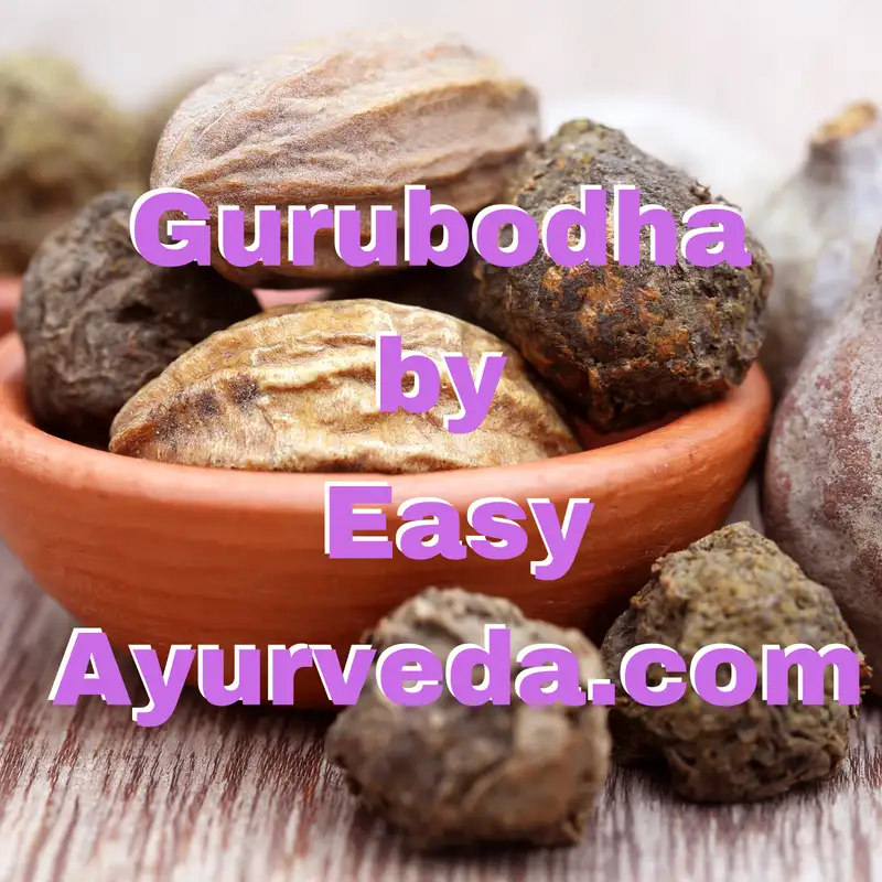 Gurubodha 49: Triphala with BP Medicine | Cardamom Cold or Hot? Psyllium Husk for Constipation?