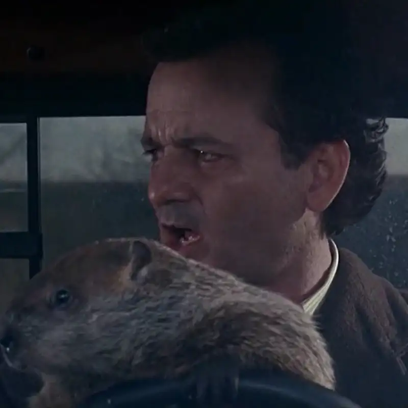 he must have just snapped