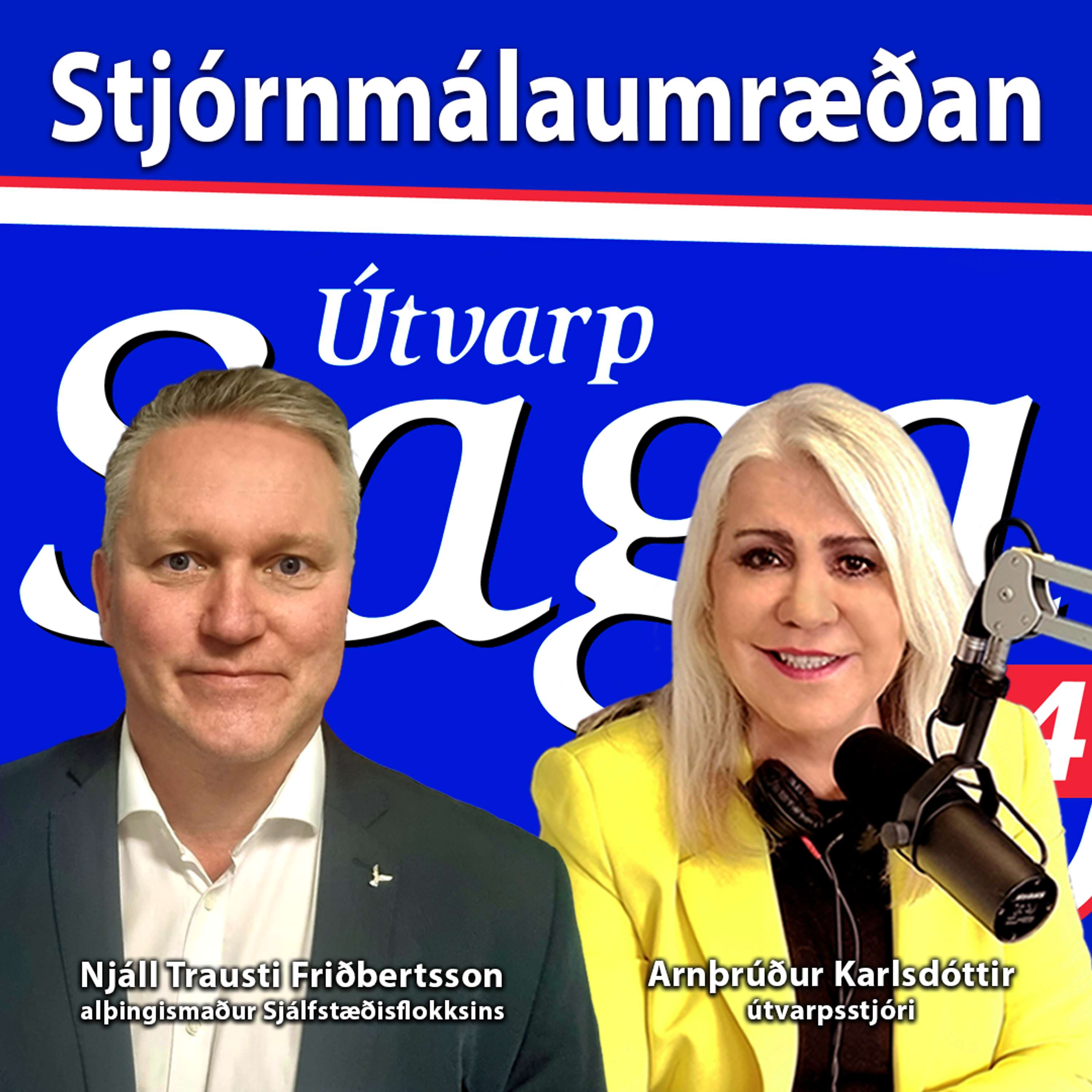 Stjórnmálaumræðan - Njáll Trausti Friðbertsson