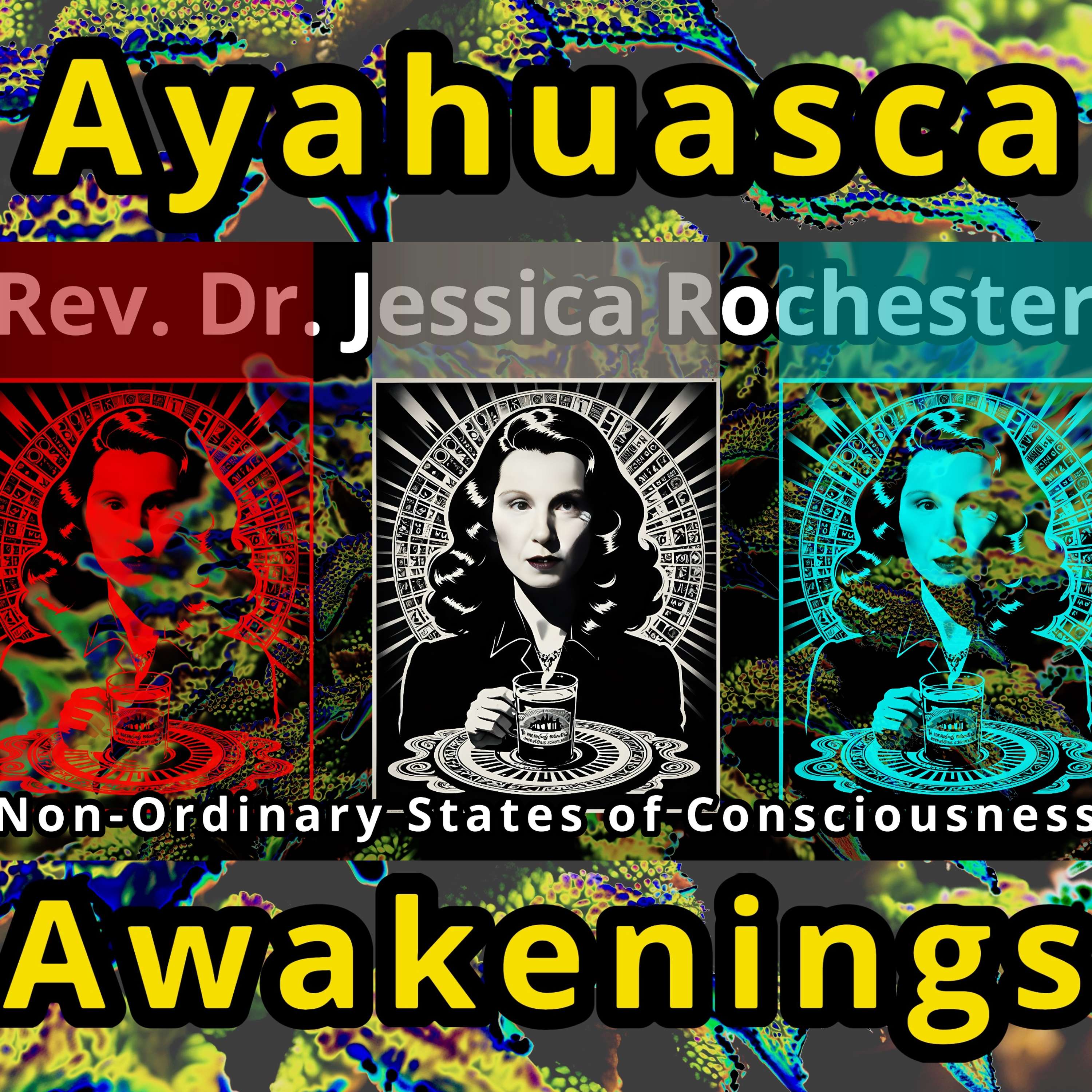 Rev. Dr. Jessica Rochester - Projection, Transference, & Counter Transference in Non-Ordinary States of Conciousness