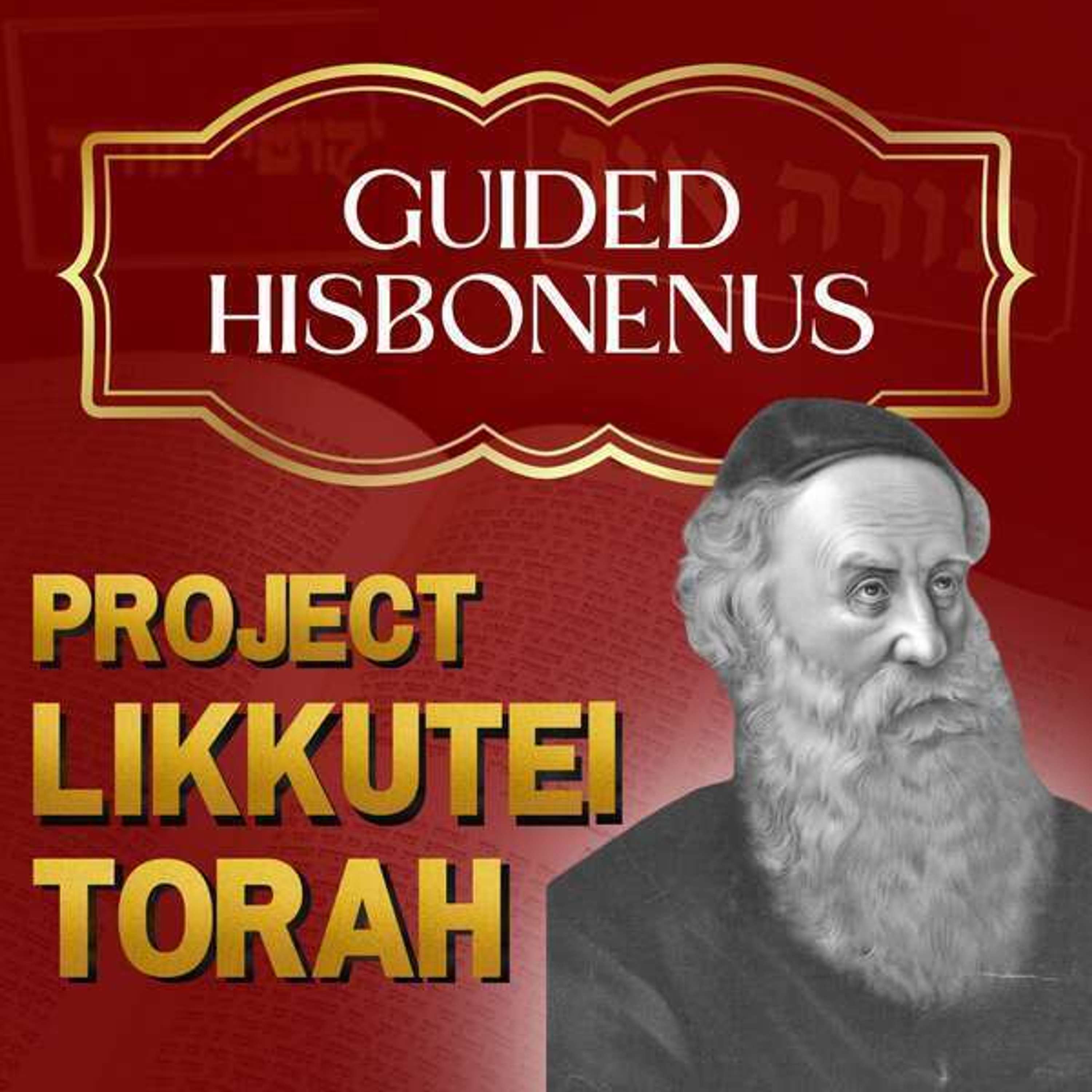 Chassidic Parsha Meditations