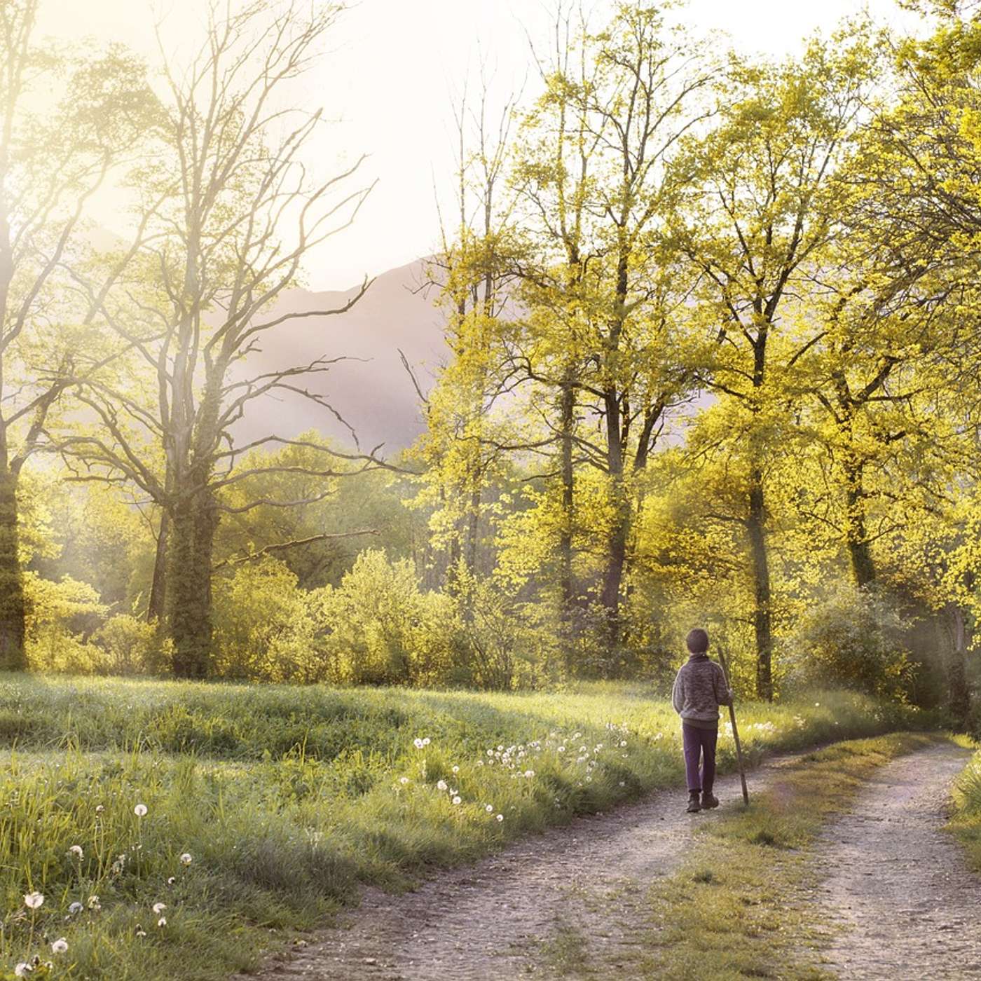 Deci Medical Partners Podcast Serie