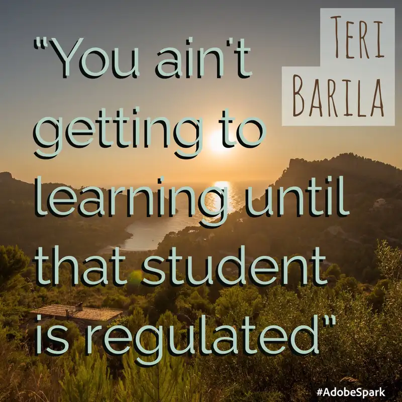 Safety. Connection. Learning. with Teri Barila Transformative Principal 177