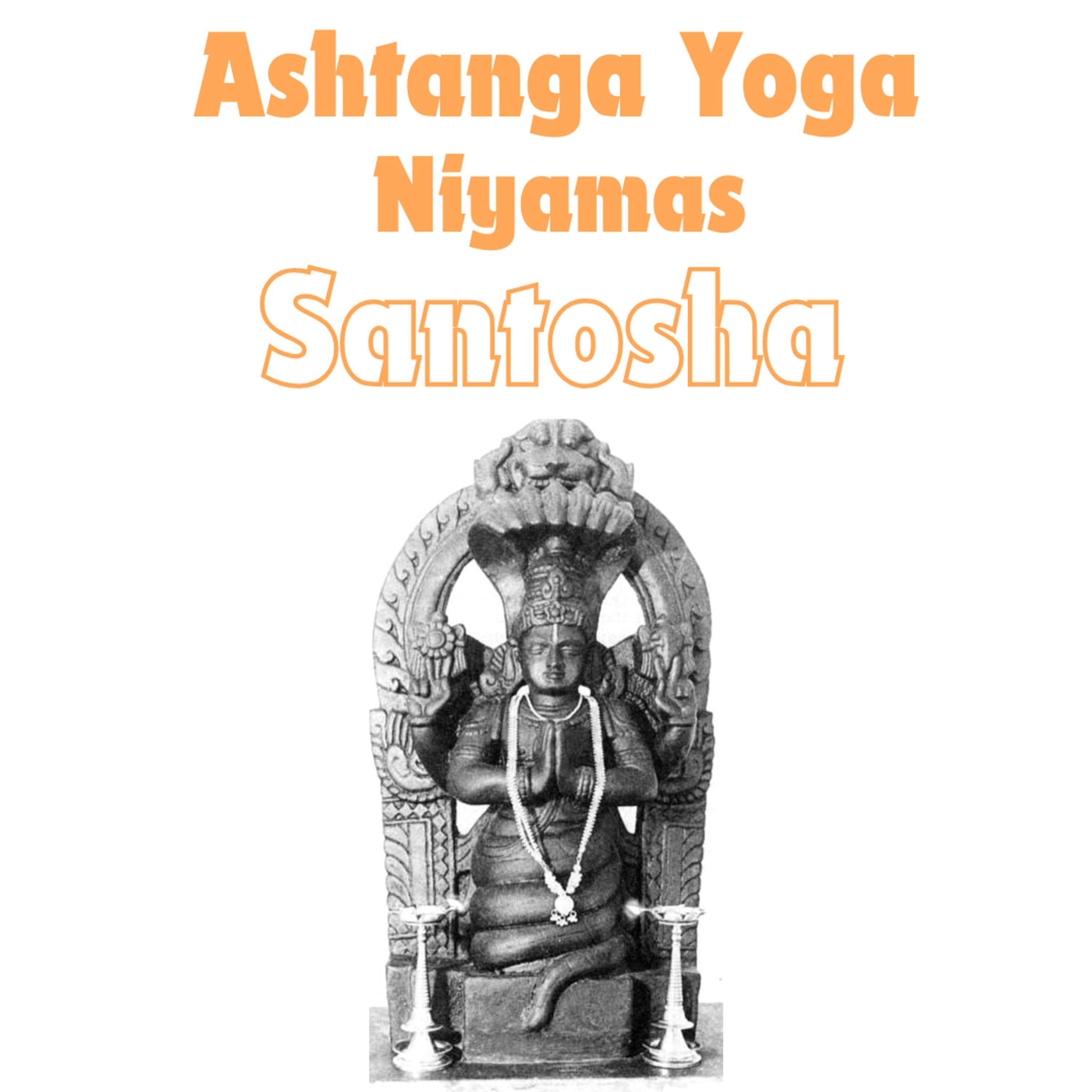 Yoga Connection With Zorananda