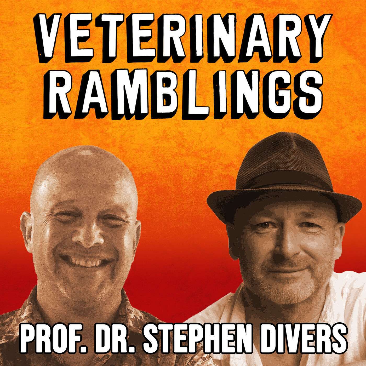 Ep 21: Fish & Fries with Prof. Dr. Stephen Divers