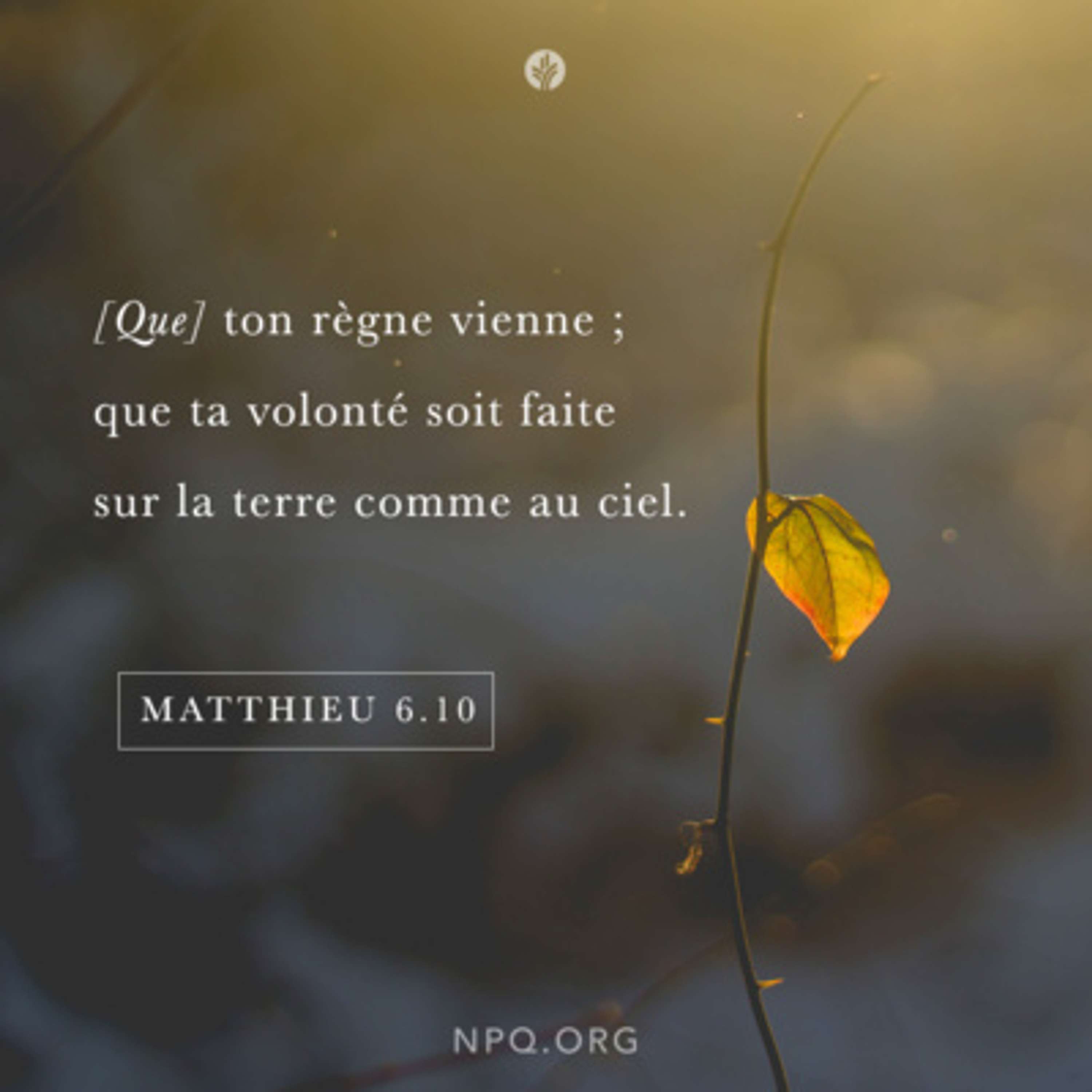 Notre Pain Quotidien podcast
