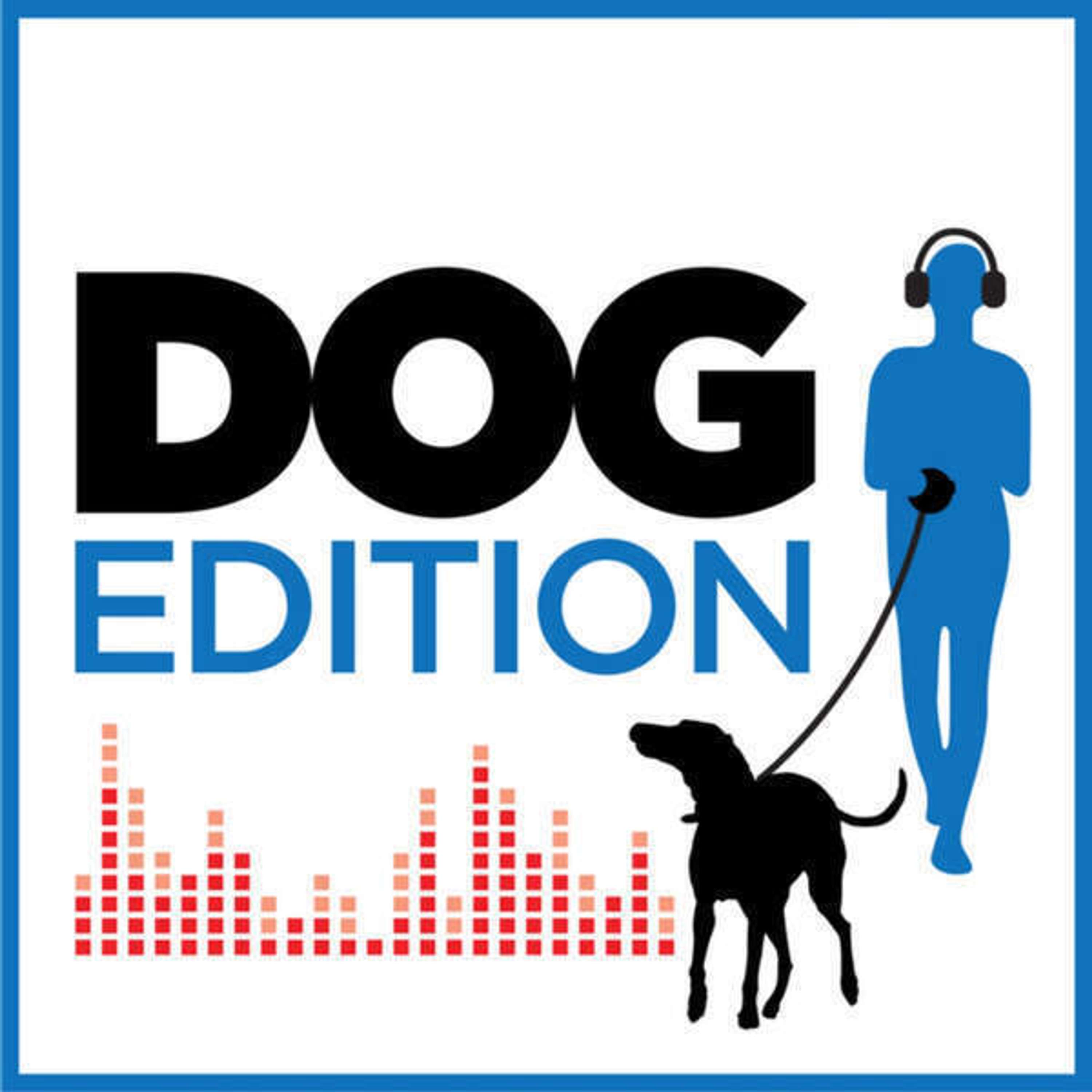 Apresentando: DogEdition! Nosso podcast convidado de hoje! {PART I} - podcast episode cover