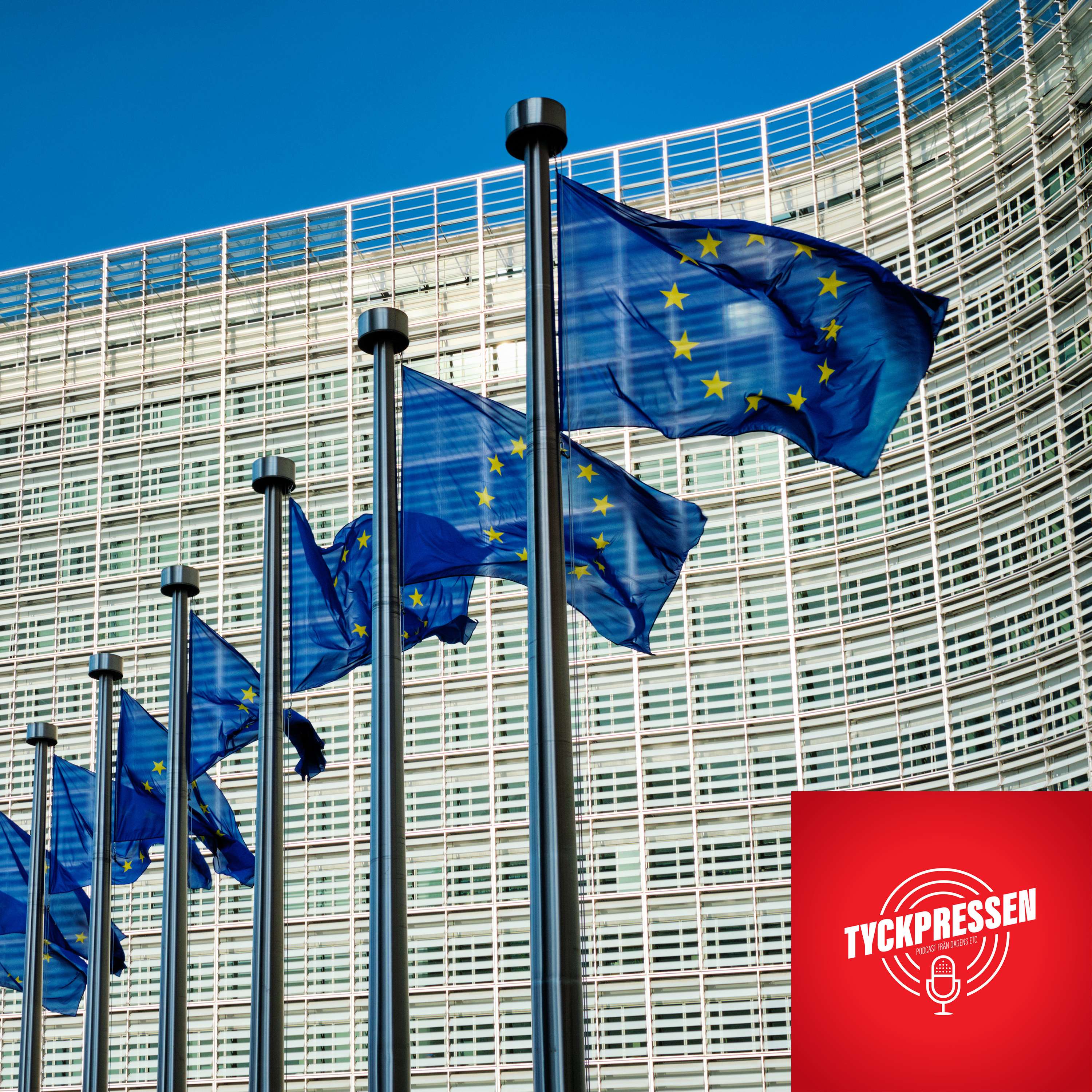 72. Vilka vinner EU-valet? Vi har svaret