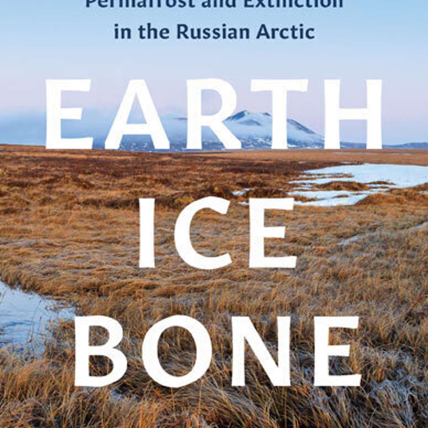 University of Minnesota Press