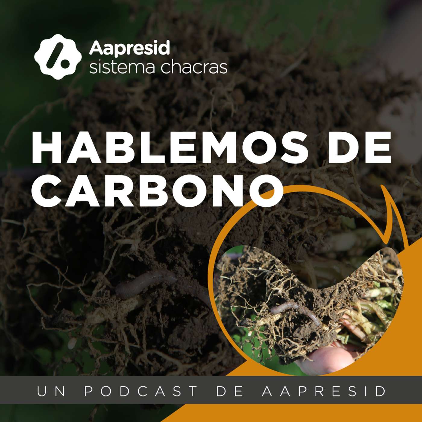 Hablemos de Carbono: Carbono Orgánico de Suelos