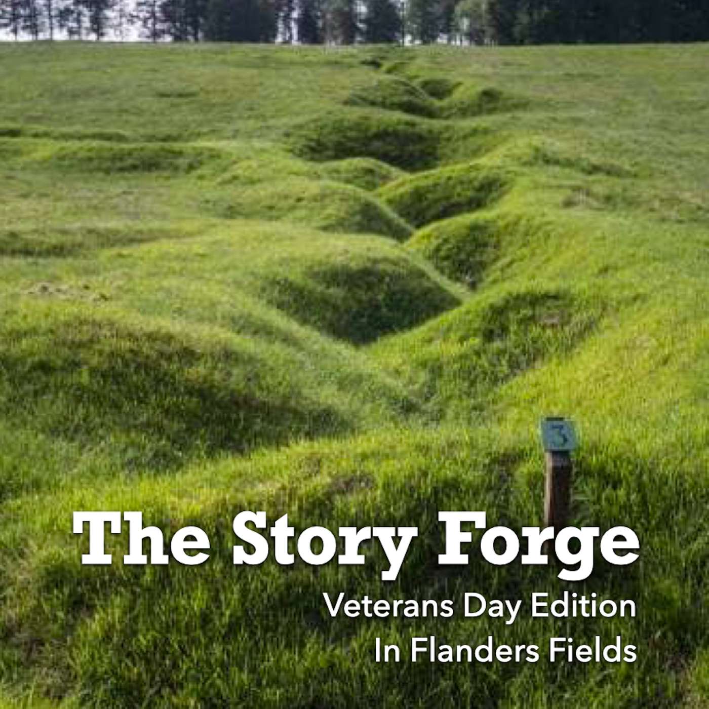 In Flanders Fields In Flanders Fields